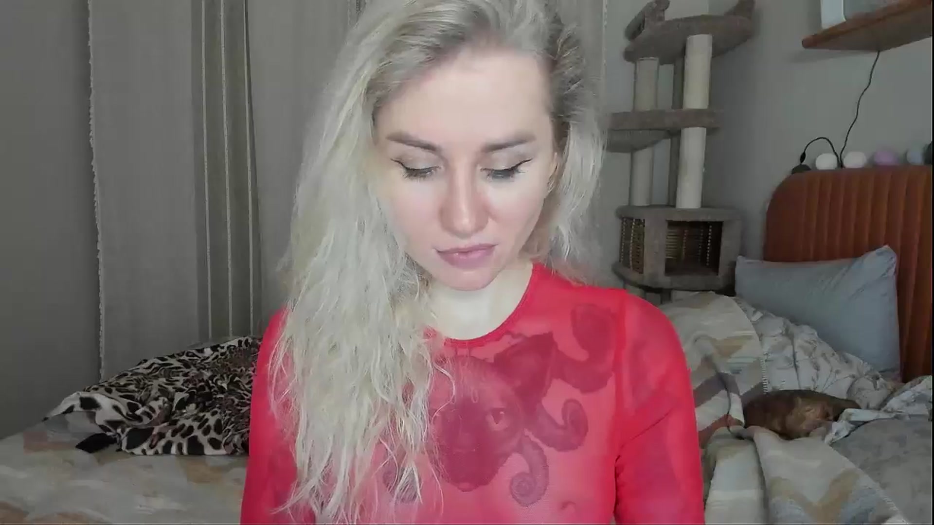 Gallery image thumbnail from Alexa_Smithhh's myfreecams stream on, 11/11/2025, 18:29 image 8 of 20