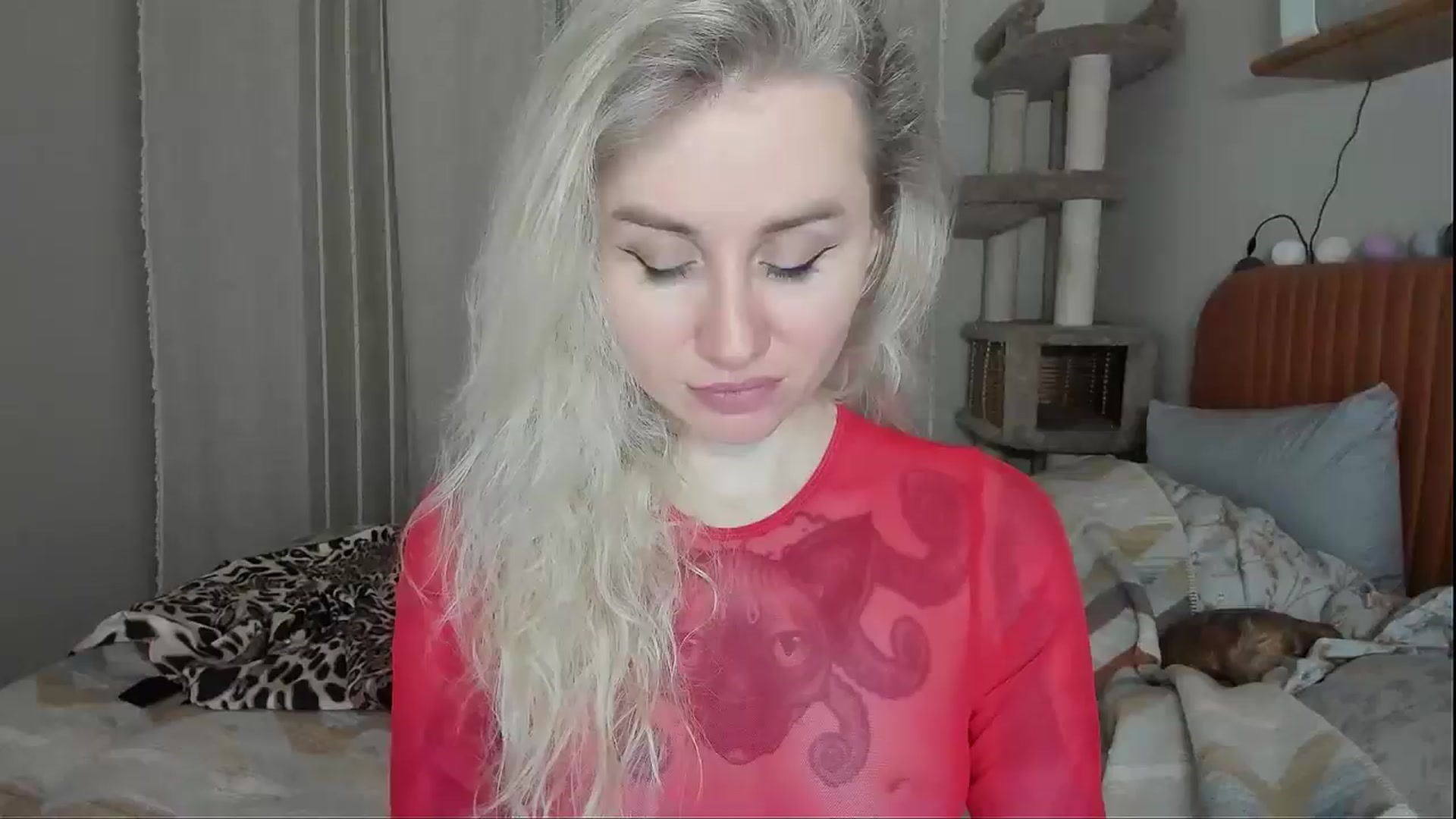 Gallery image thumbnail from Alexa_Smithhh's myfreecams stream on, 11/11/2025, 18:29 image 5 of 20