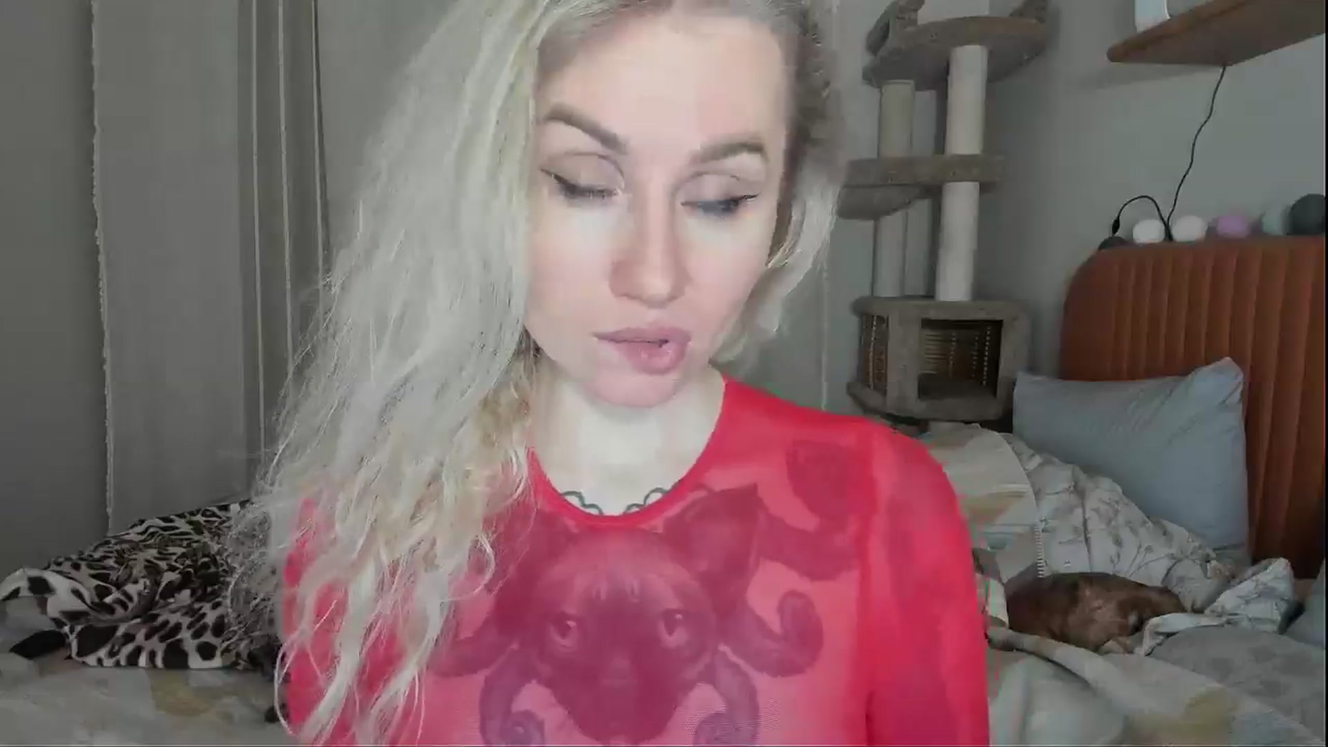 Gallery image thumbnail from Alexa_Smithhh's myfreecams stream on, 11/11/2025, 18:29 image 2 of 20