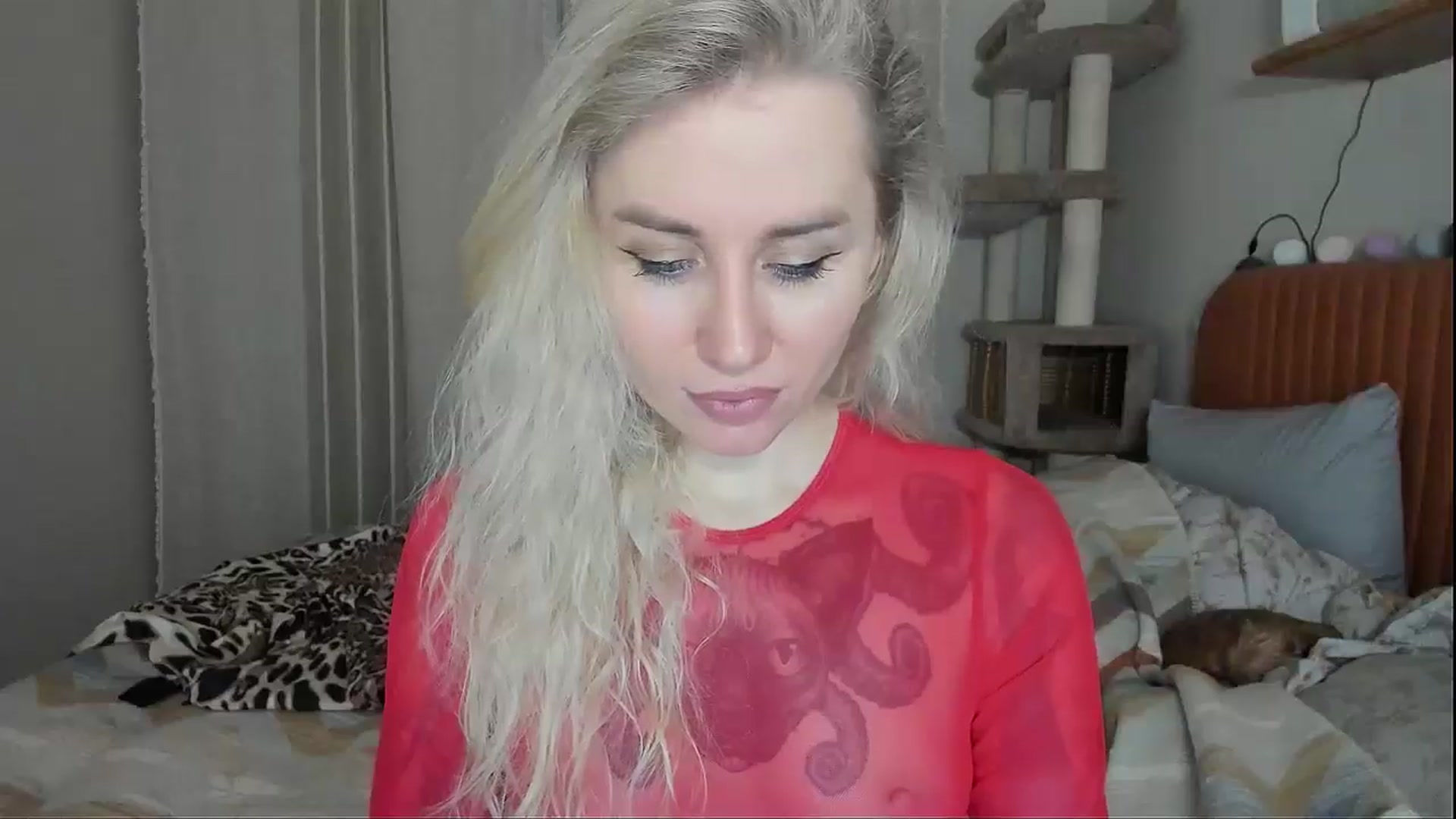 Gallery image thumbnail from Alexa_Smithhh's myfreecams stream on, 11/11/2025, 18:29 image 6 of 20