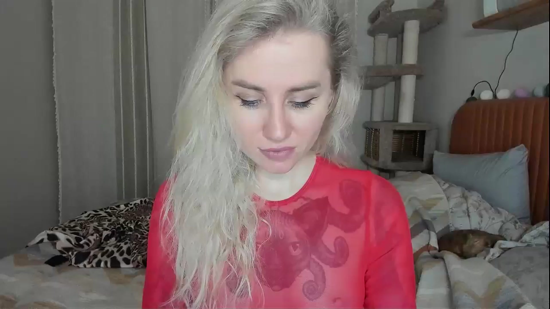 Gallery image thumbnail from Alexa_Smithhh's myfreecams stream on, 11/11/2025, 18:29 image 7 of 20