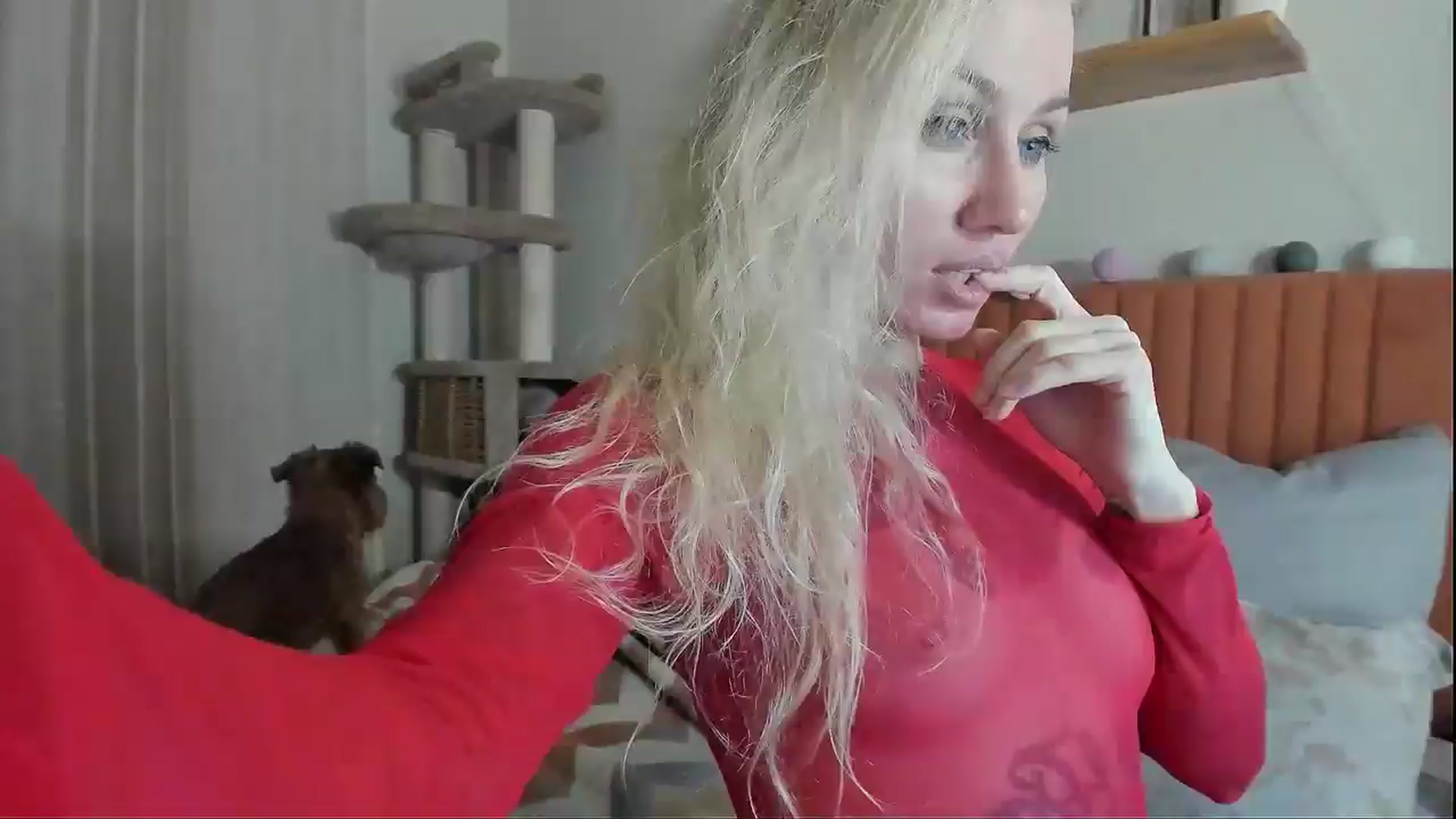 Gallery image thumbnail from Alexa_Smithhh's myfreecams stream on, 11/11/2025, 21:14 image 1 of 20