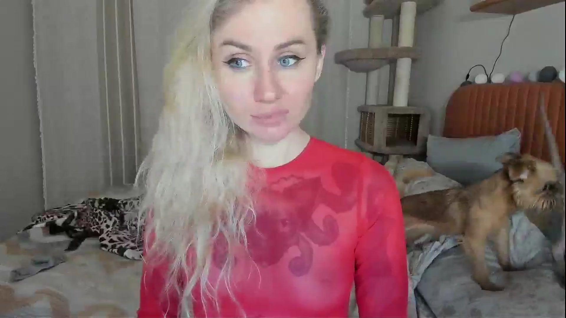 Gallery image thumbnail from Alexa_Smithhh's myfreecams stream on, 11/11/2025, 21:14 image 3 of 20