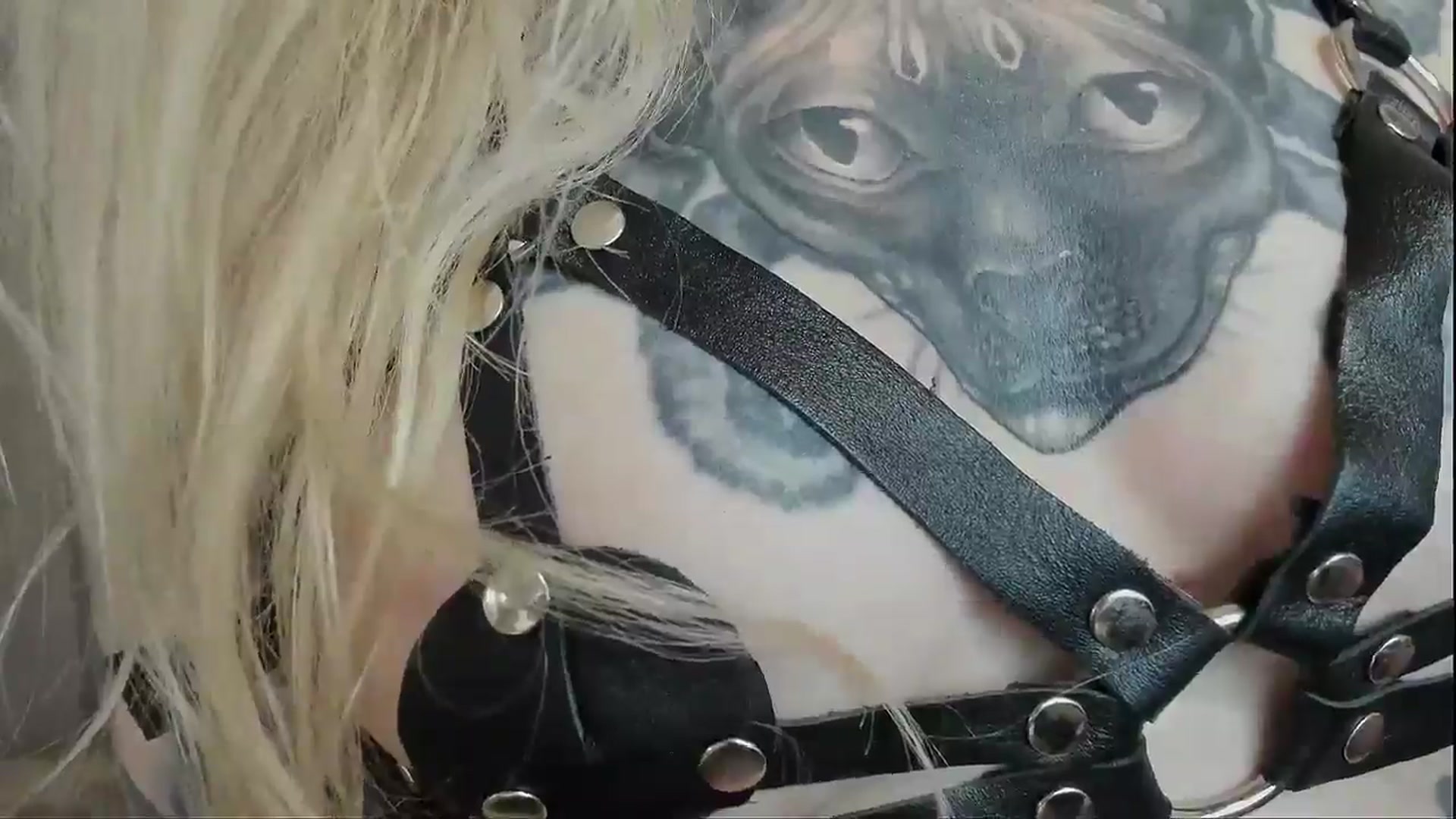 Gallery image thumbnail from Alexa_Smithhh's myfreecams stream on, 11/24/2025, 21:16 image 14 of 20