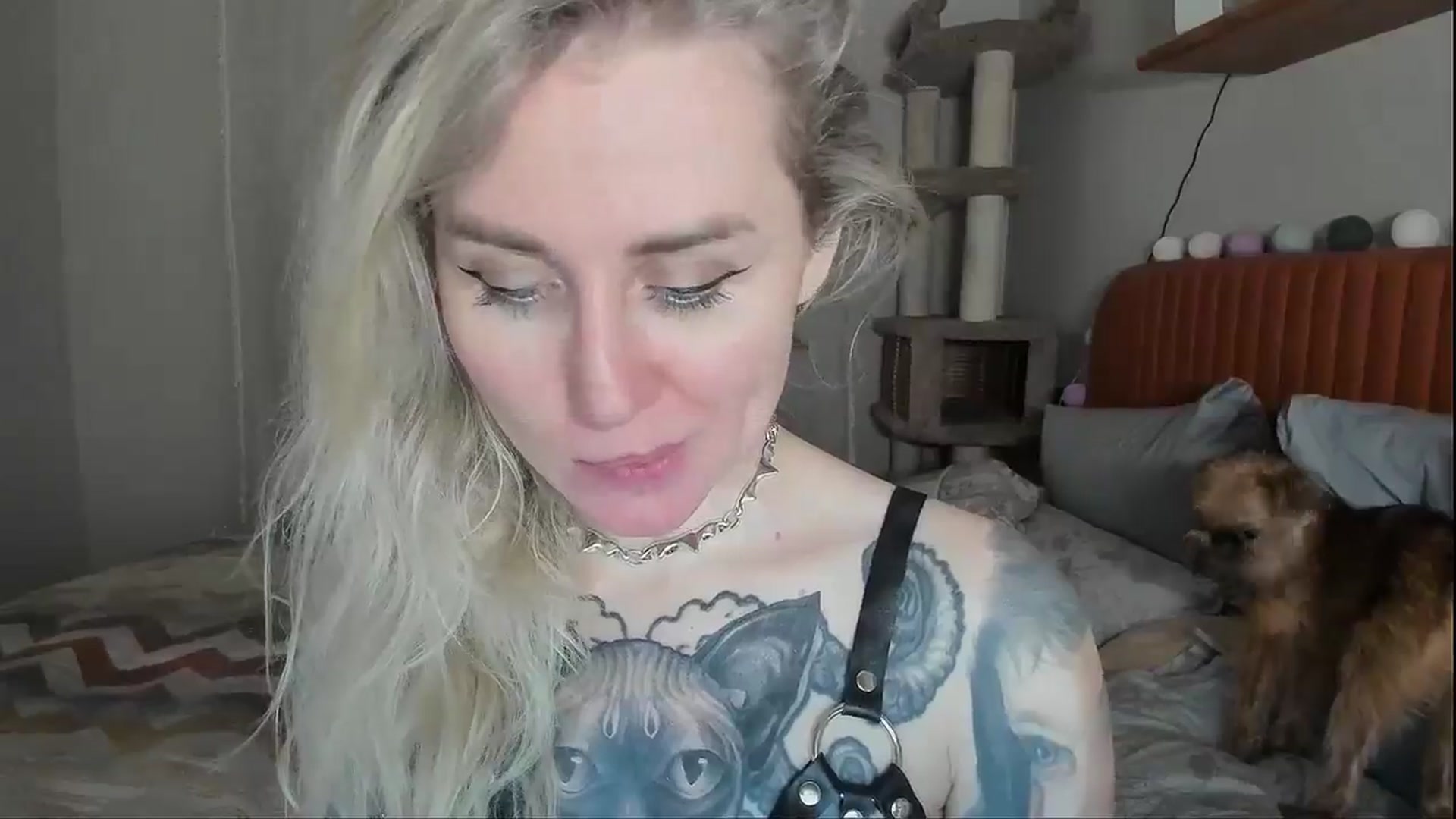 Gallery image thumbnail from Alexa_Smithhh's myfreecams stream on, 11/24/2025, 21:16 image 18 of 20