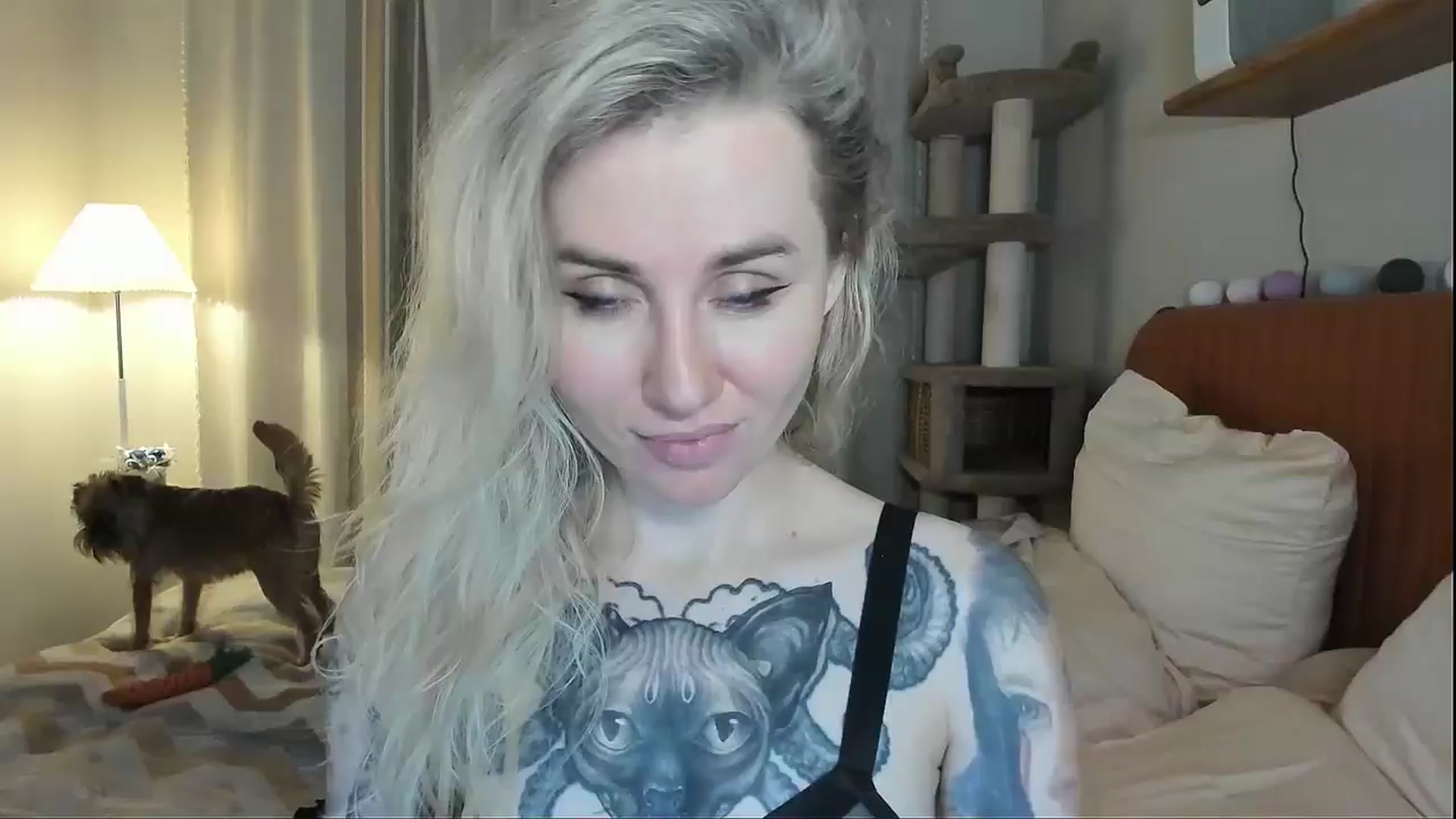 Gallery image thumbnail from Alexa_Smithhh's myfreecams stream on, 12/11/2025, 21:20 image 14 of 20