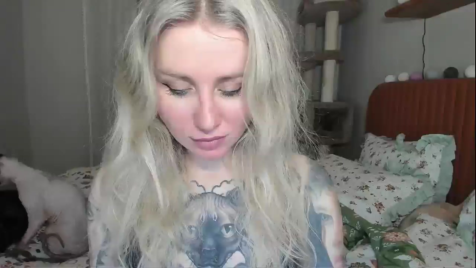 Gallery image thumbnail from Alexa_Smithhh's myfreecams stream on, 01/08/2026, 17:53 image 2 of 20