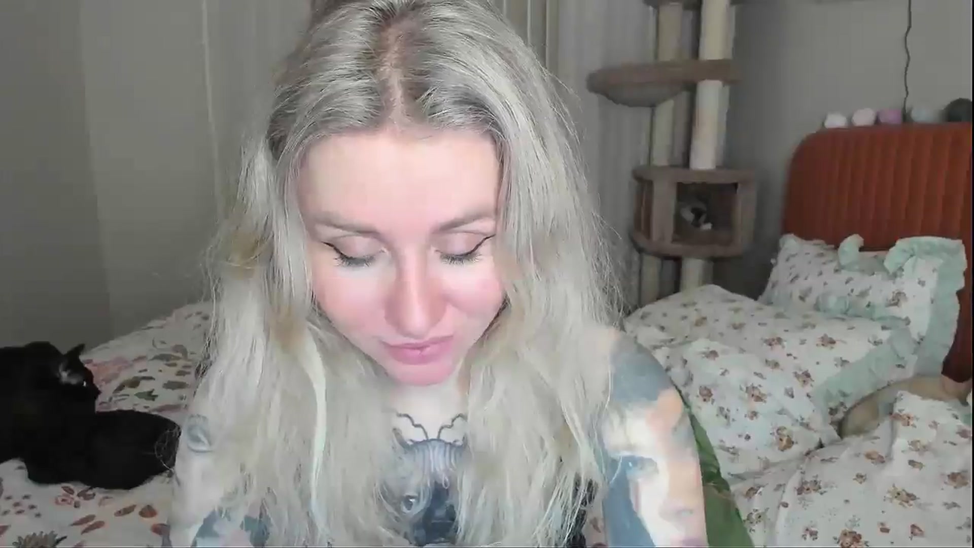 Gallery image thumbnail from Alexa_Smithhh's myfreecams stream on, 01/08/2026, 20:43 image 14 of 20