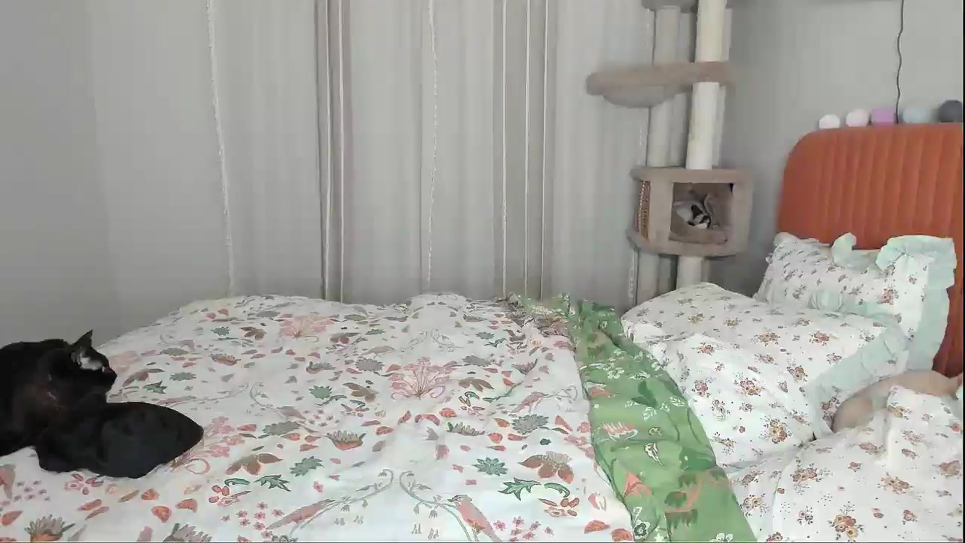 Gallery image thumbnail from Alexa_Smithhh's myfreecams stream on, 01/08/2026, 20:43 image 16 of 20