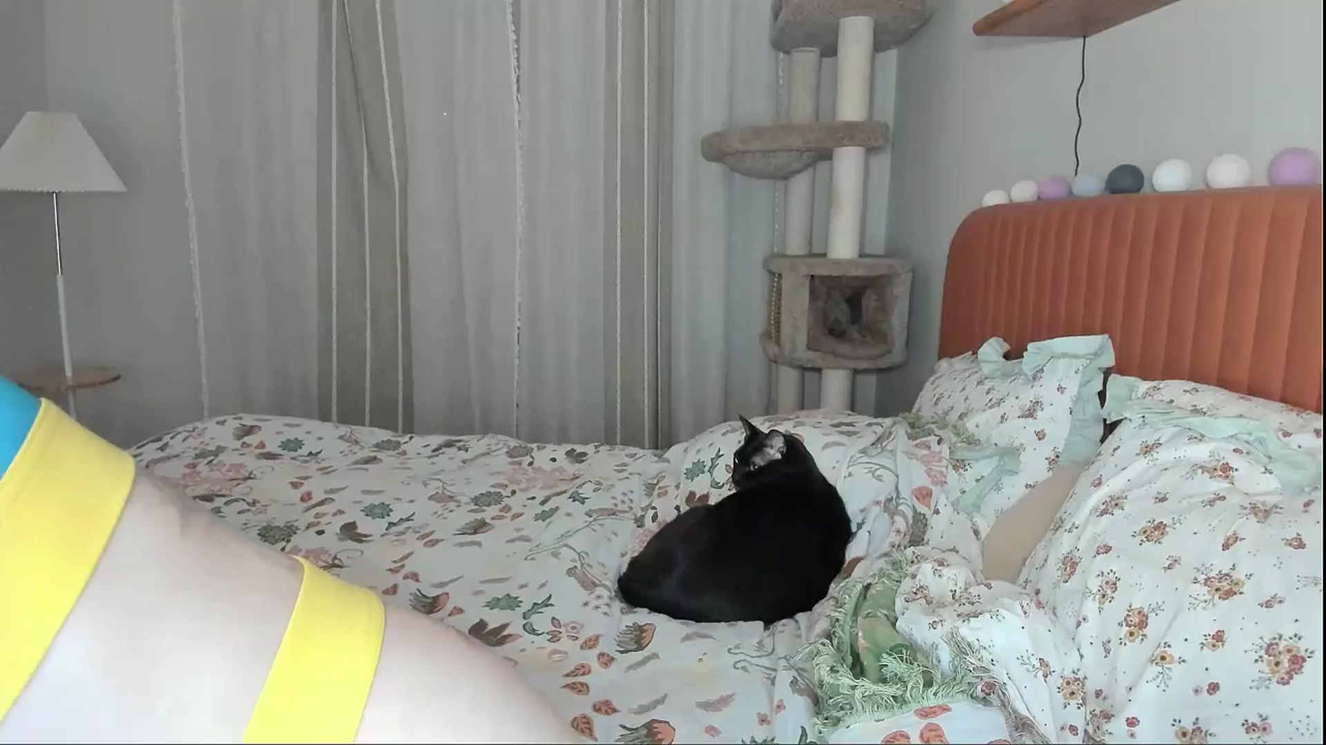 Gallery image thumbnail from Alexa_Smithhh's myfreecams stream on, 01/26/2026, 19:25 image 16 of 20