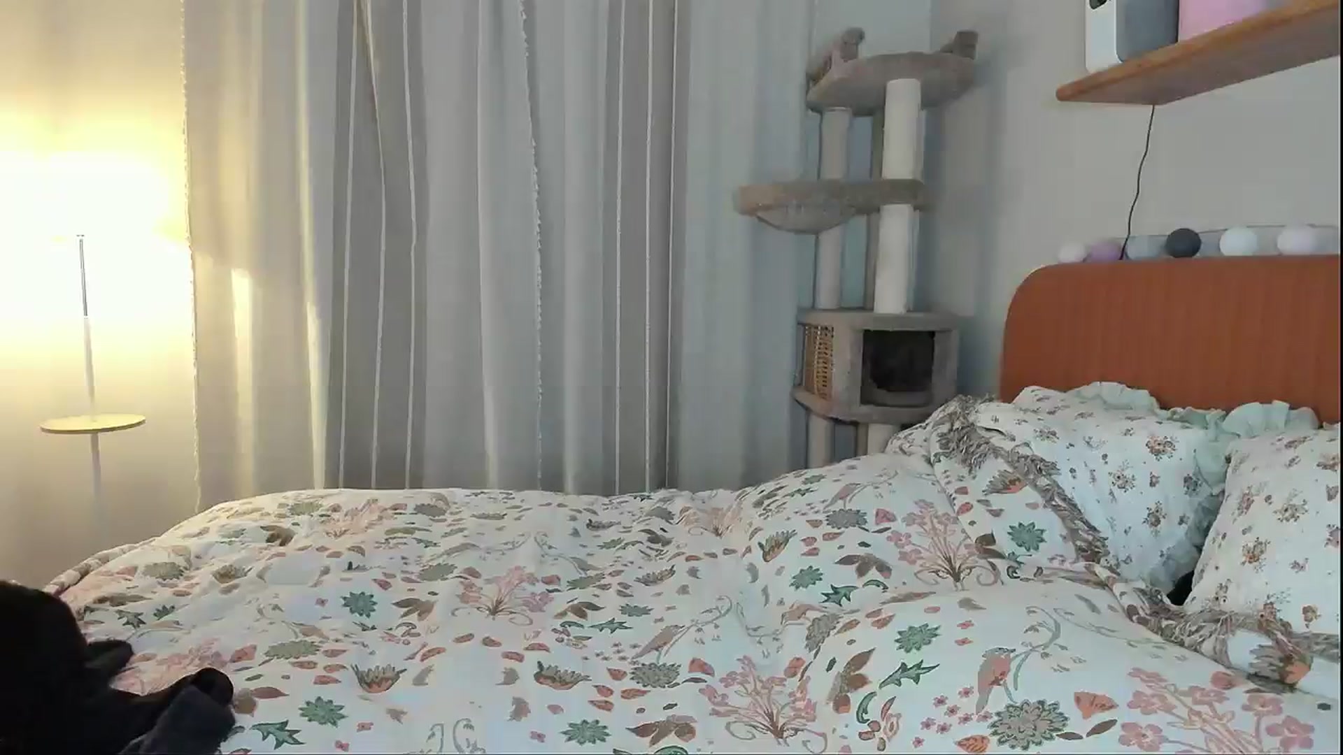 Gallery image thumbnail from Alexa_Smithhh's myfreecams stream on, 02/20/2026, 21:26 image 20 of 20