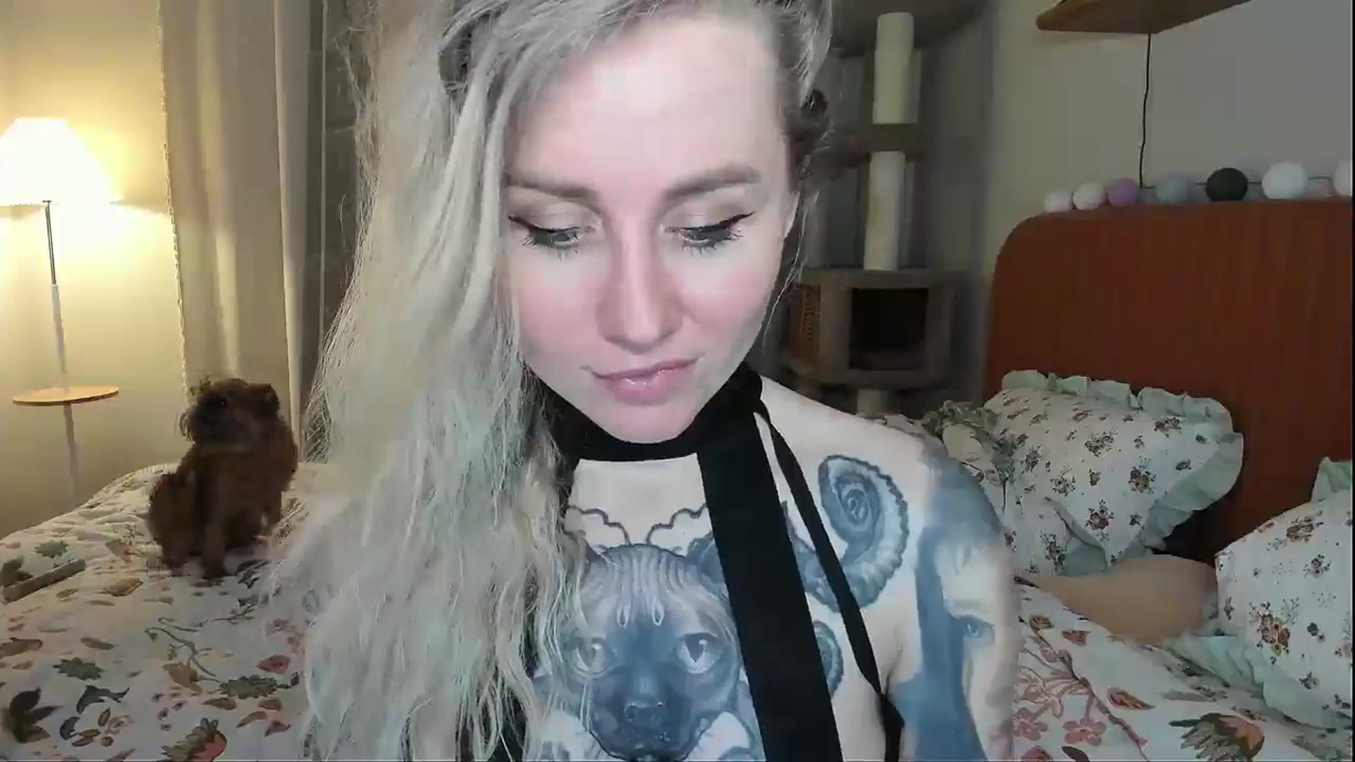 Gallery image thumbnail from Alexa_Smithhh's myfreecams stream on, 03/03/2026, 21:42 image 19 of 20
