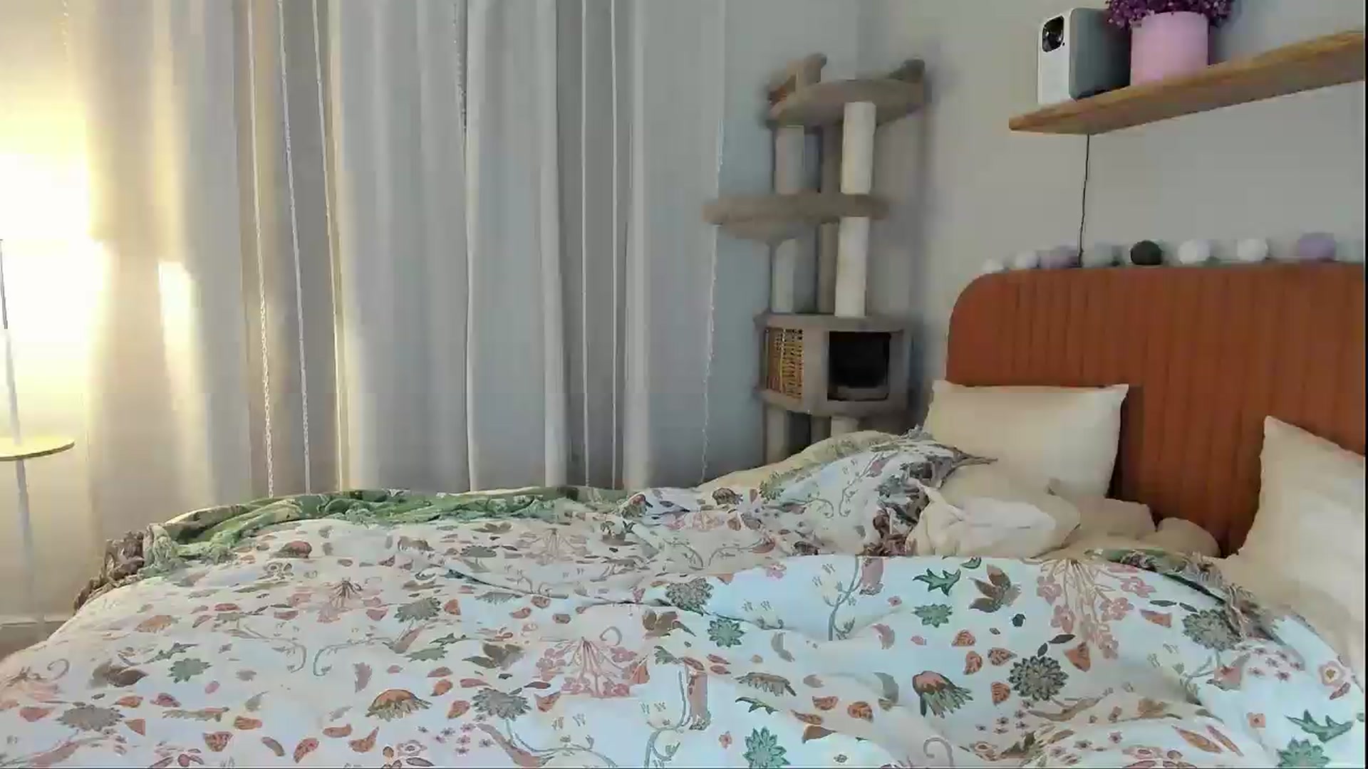 Gallery image thumbnail from Alexa_Smithhh's myfreecams stream on, 04/09/2026, 21:28 image 18 of 20
