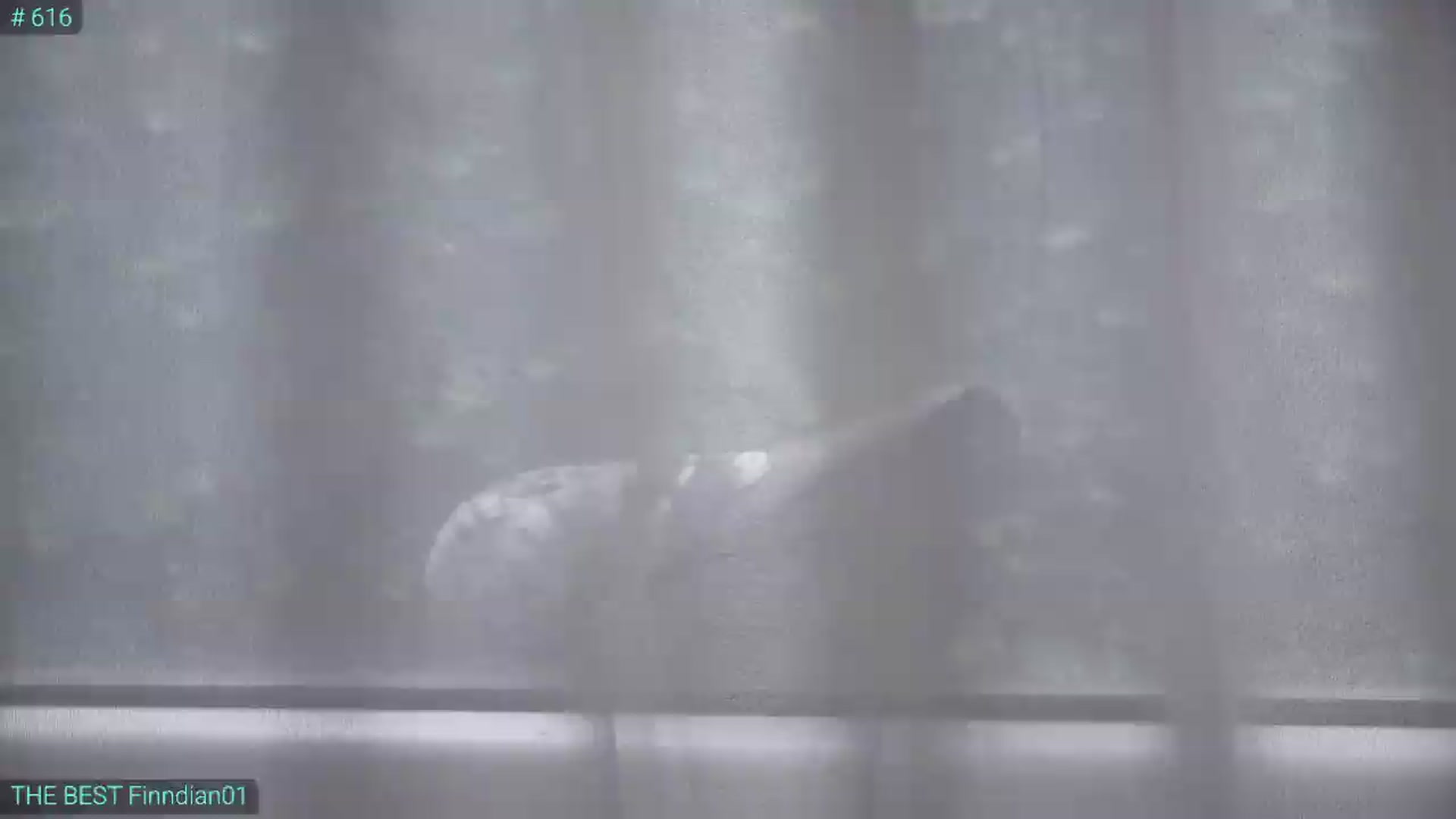 Gallery image thumbnail from AlexiAngel's myfreecams stream on, 06/02/2026, 07:16 image 1 of 20