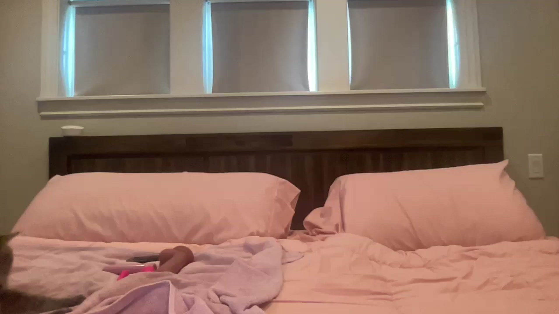 Gallery image thumbnail from AlexiaTripp's myfreecams stream on, 04/26/2025, 14:35 image 13 of 20