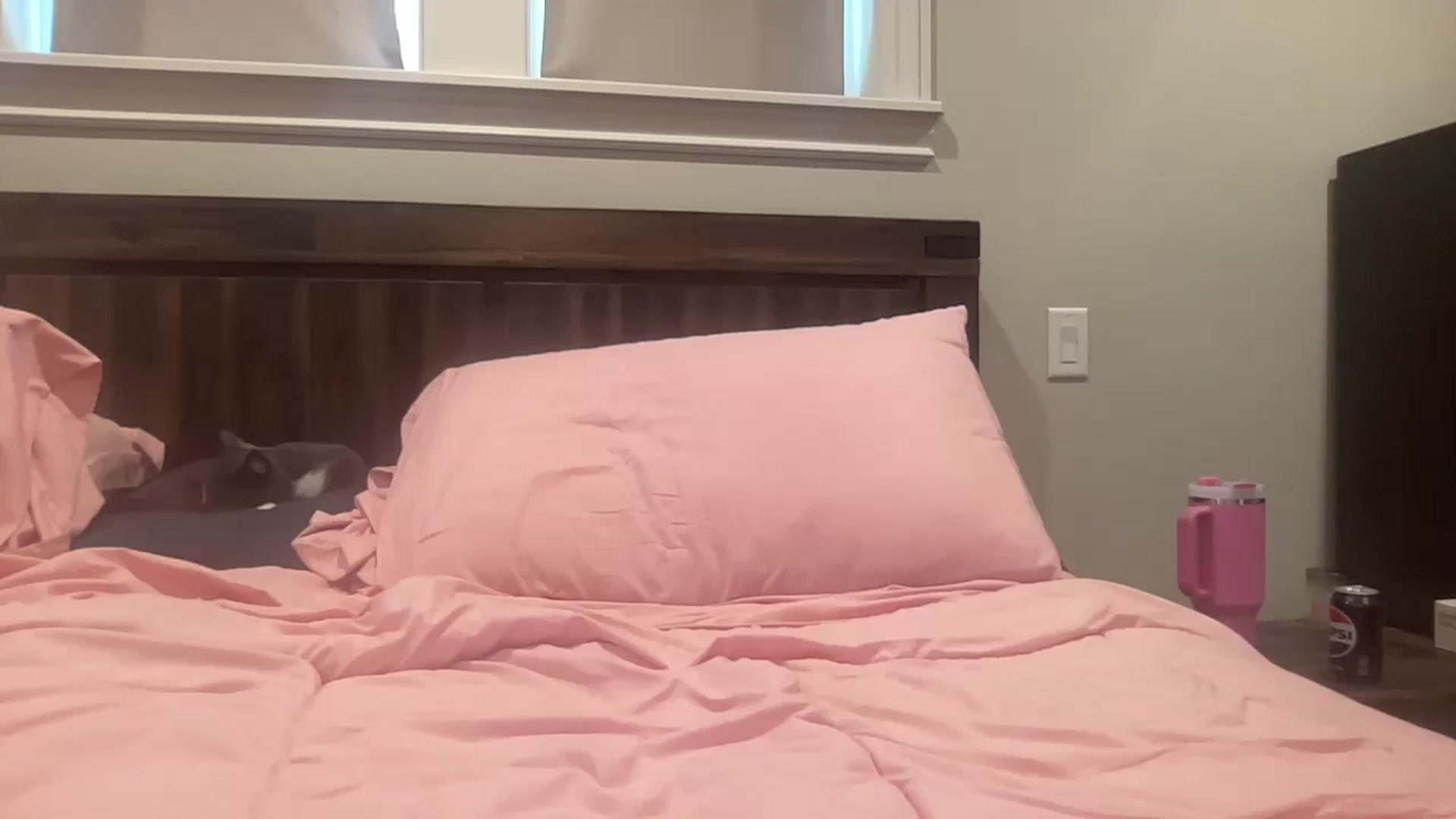 Gallery image thumbnail from AlexiaTripp's myfreecams stream on, 05/25/2025, 15:40 image 17 of 20