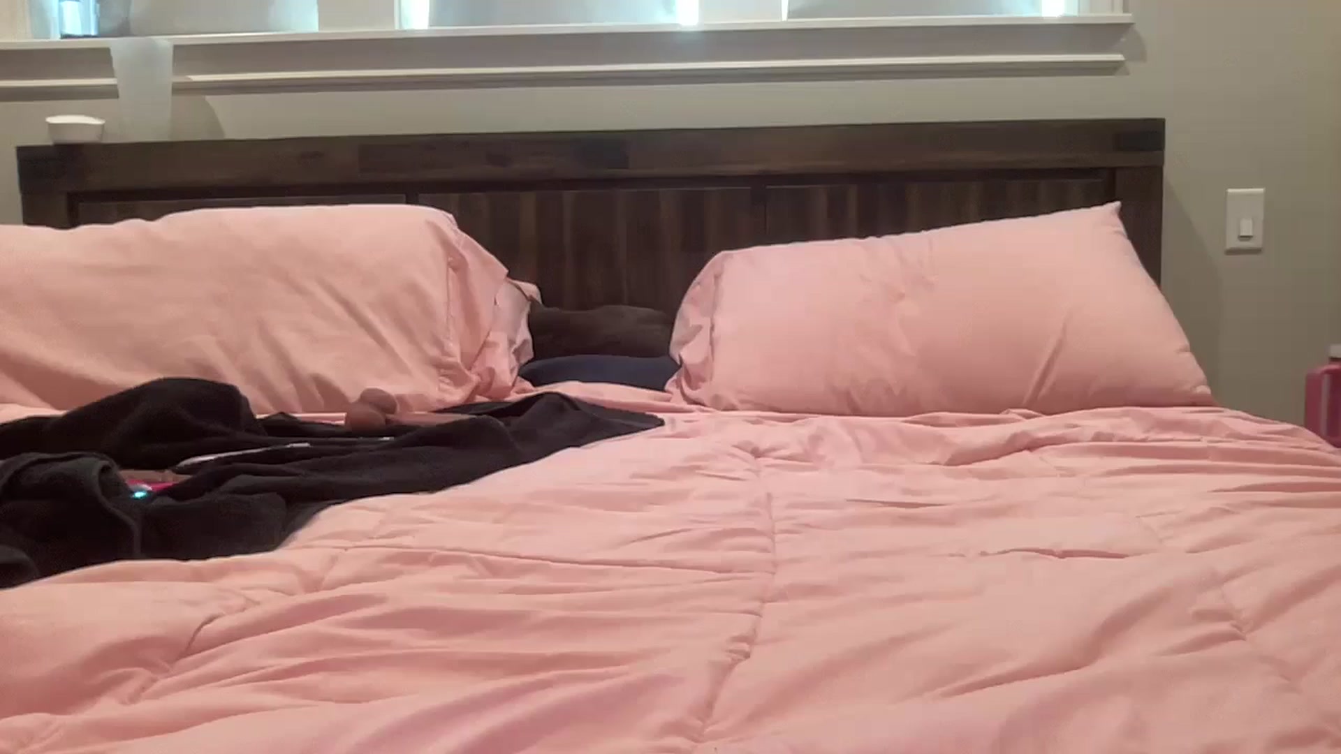 Gallery image thumbnail from AlexiaTripp's myfreecams stream on, 06/01/2025, 18:14 image 20 of 20