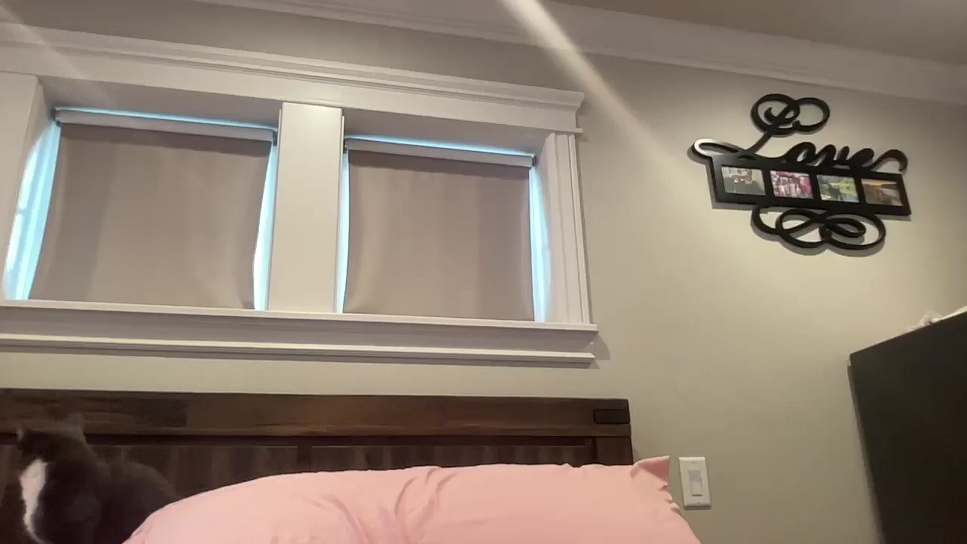 Gallery image thumbnail from AlexiaTripp's myfreecams stream on, 06/26/2025, 14:18 image 5 of 20