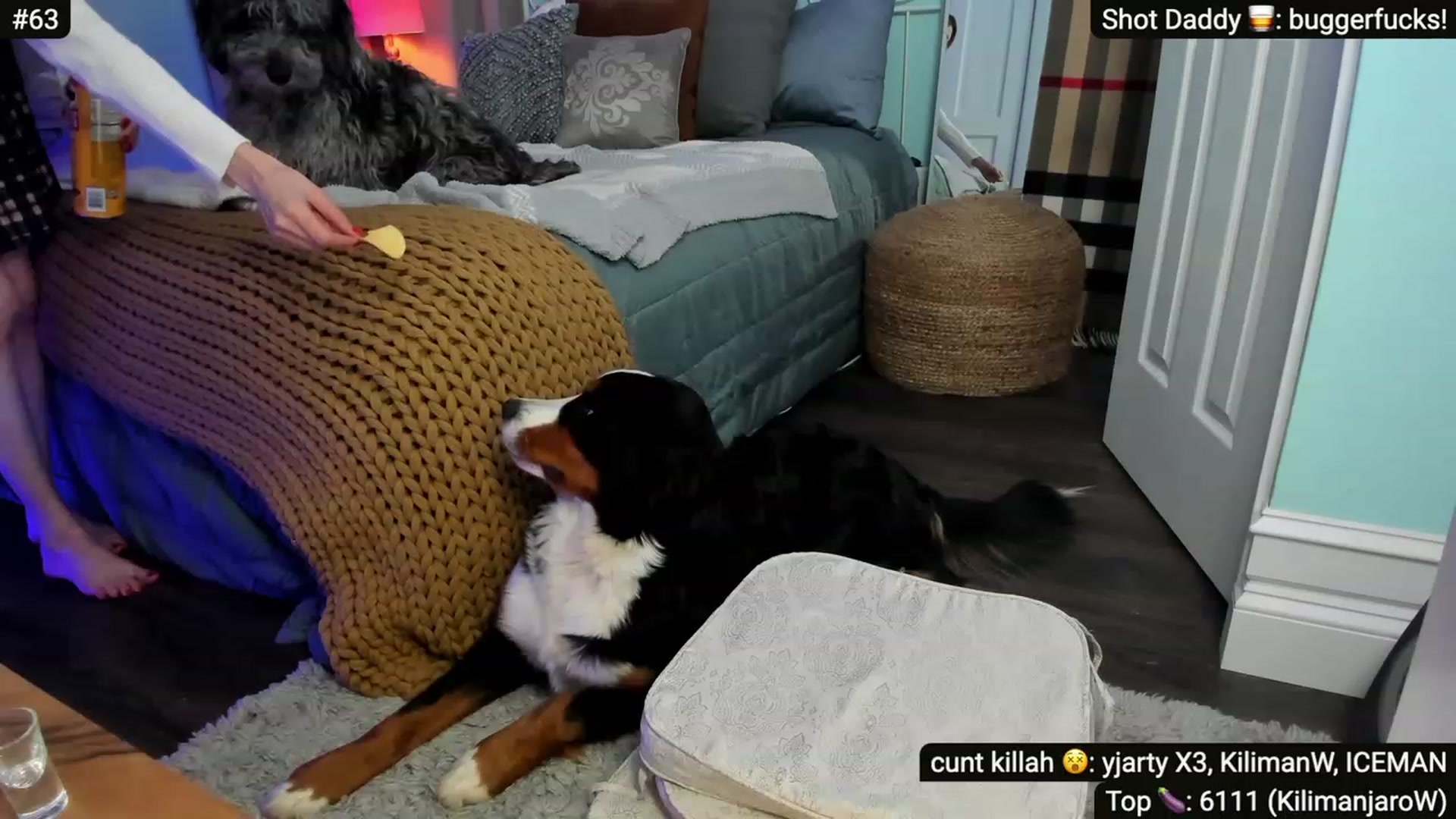 Gallery image thumbnail from Alexis's myfreecams stream on, 12/11/2022, 07:42 image 12 of 20