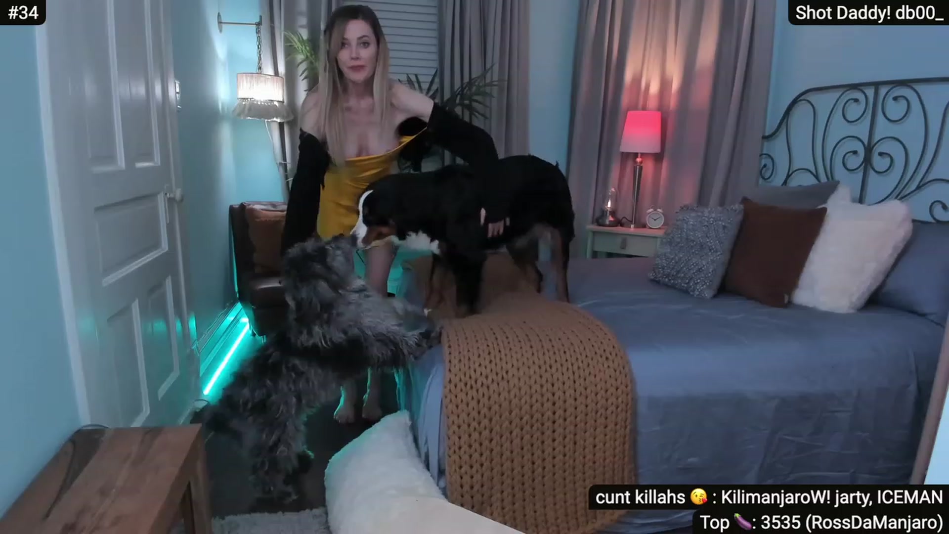 Gallery image thumbnail from Alexis's myfreecams stream on, 12/18/2022, 09:56 image 14 of 20
