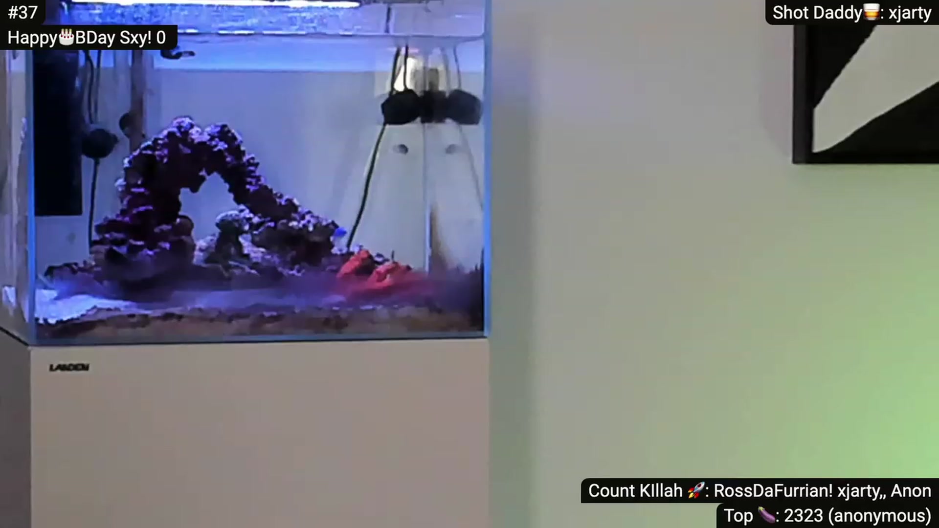 Gallery image thumbnail from Alexis's myfreecams stream on, 02/19/2023, 08:12 image 12 of 20