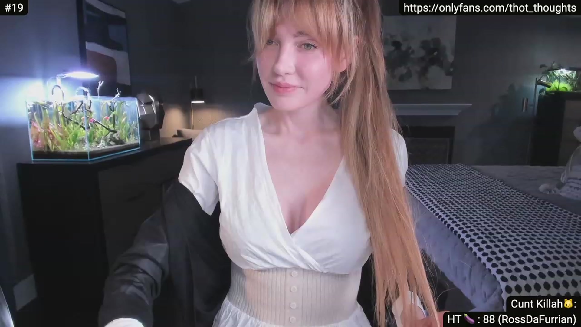 Gallery image thumbnail from Alexis's myfreecams stream on, 05/29/2023, 06:54 image 12 of 20