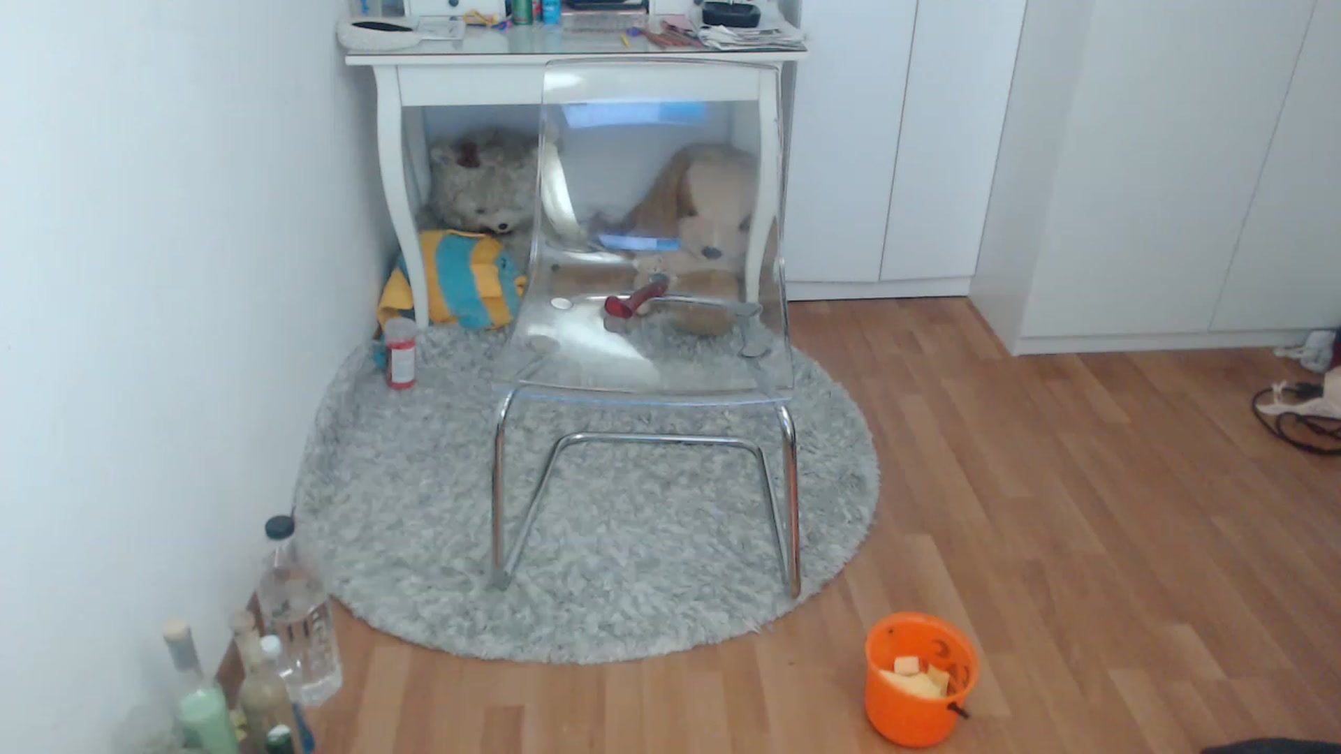 Gallery image thumbnail from AlexisJewel's myfreecams stream on, 01/21/2023, 10:05 image 12 of 20