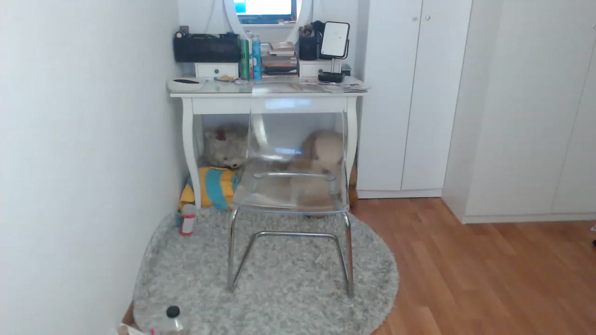 Gallery image thumbnail from AlexisJewel's myfreecams stream on, 01/22/2023, 11:41 image 6 of 20