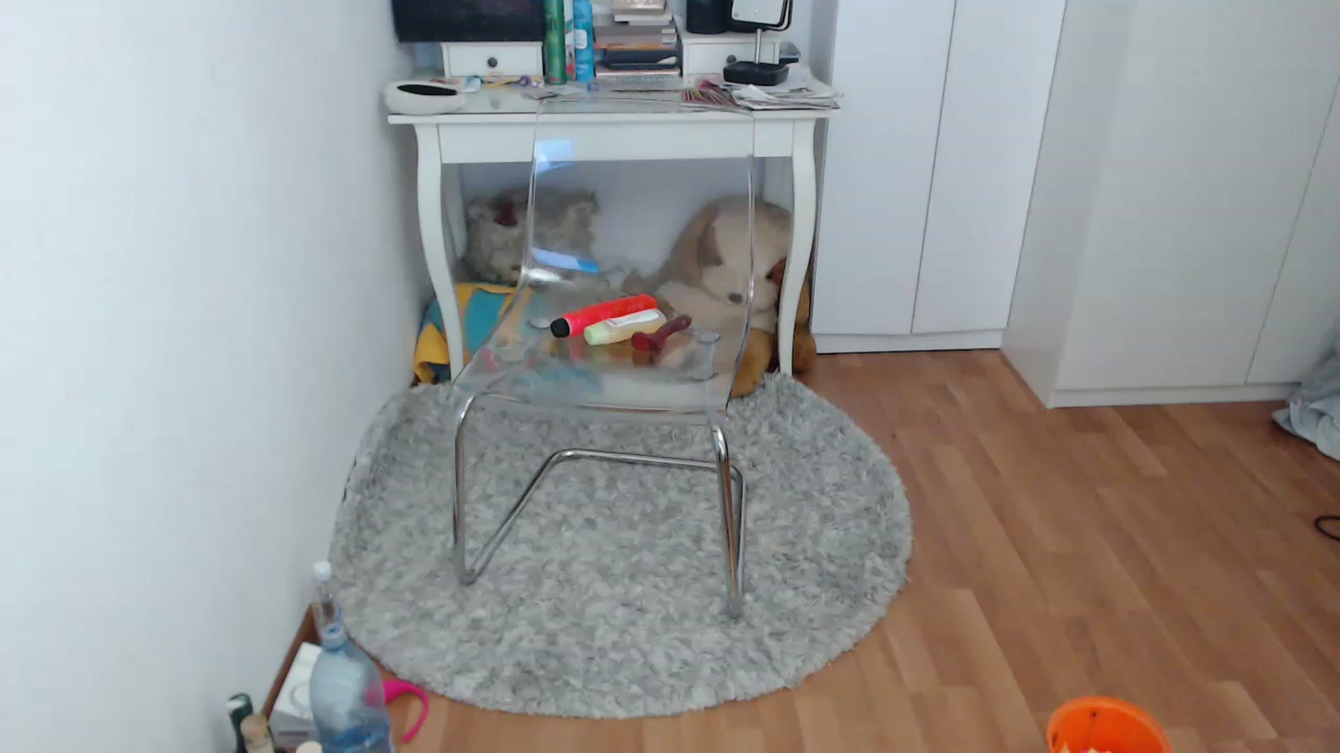 Gallery image thumbnail from AlexisJewel's myfreecams stream on, 01/26/2023, 10:35 image 13 of 20