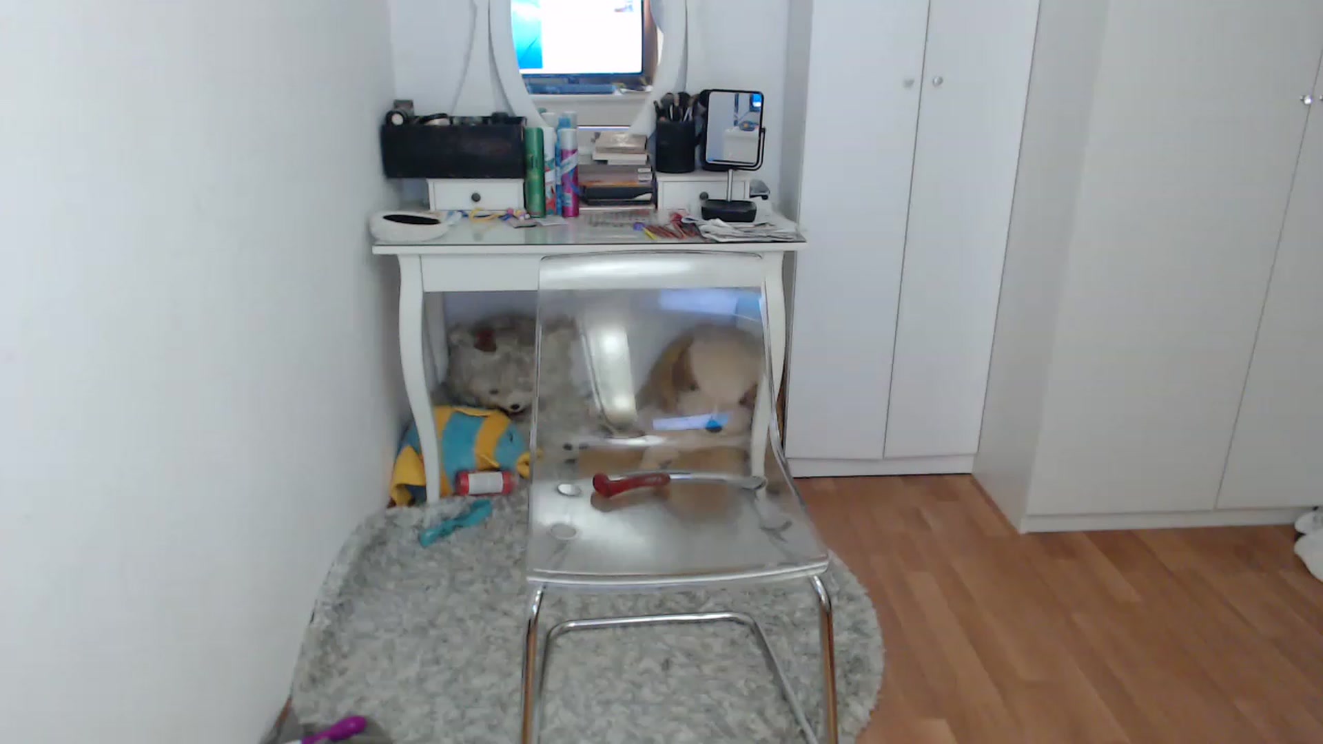 Gallery image thumbnail from AlexisJewel's myfreecams stream on, 01/29/2023, 11:17 image 19 of 20