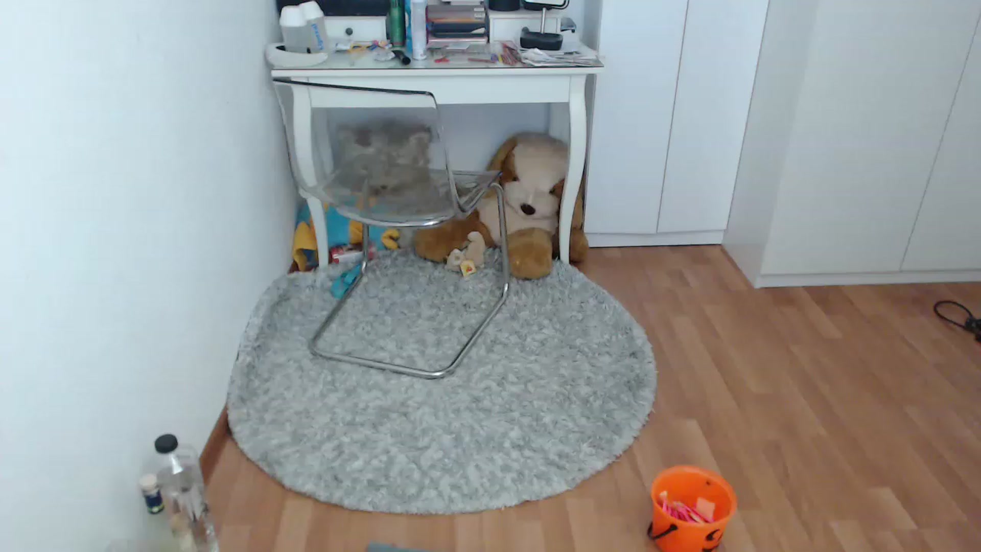 Gallery image thumbnail from AlexisJewel's myfreecams stream on, 01/31/2023, 09:19 image 2 of 20
