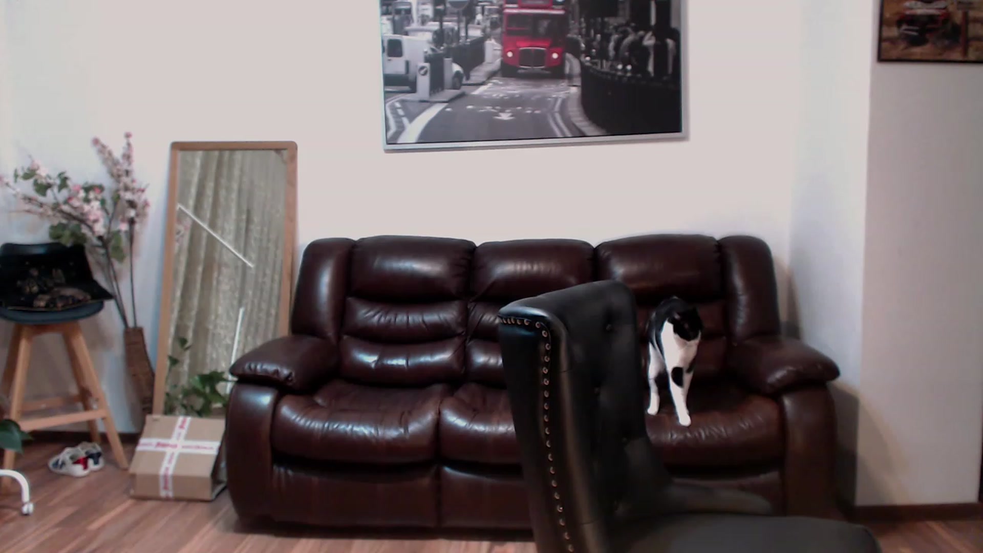 Gallery image thumbnail from AlexisLuvv's myfreecams stream on, 11/15/2022, 19:43 image 19 of 20