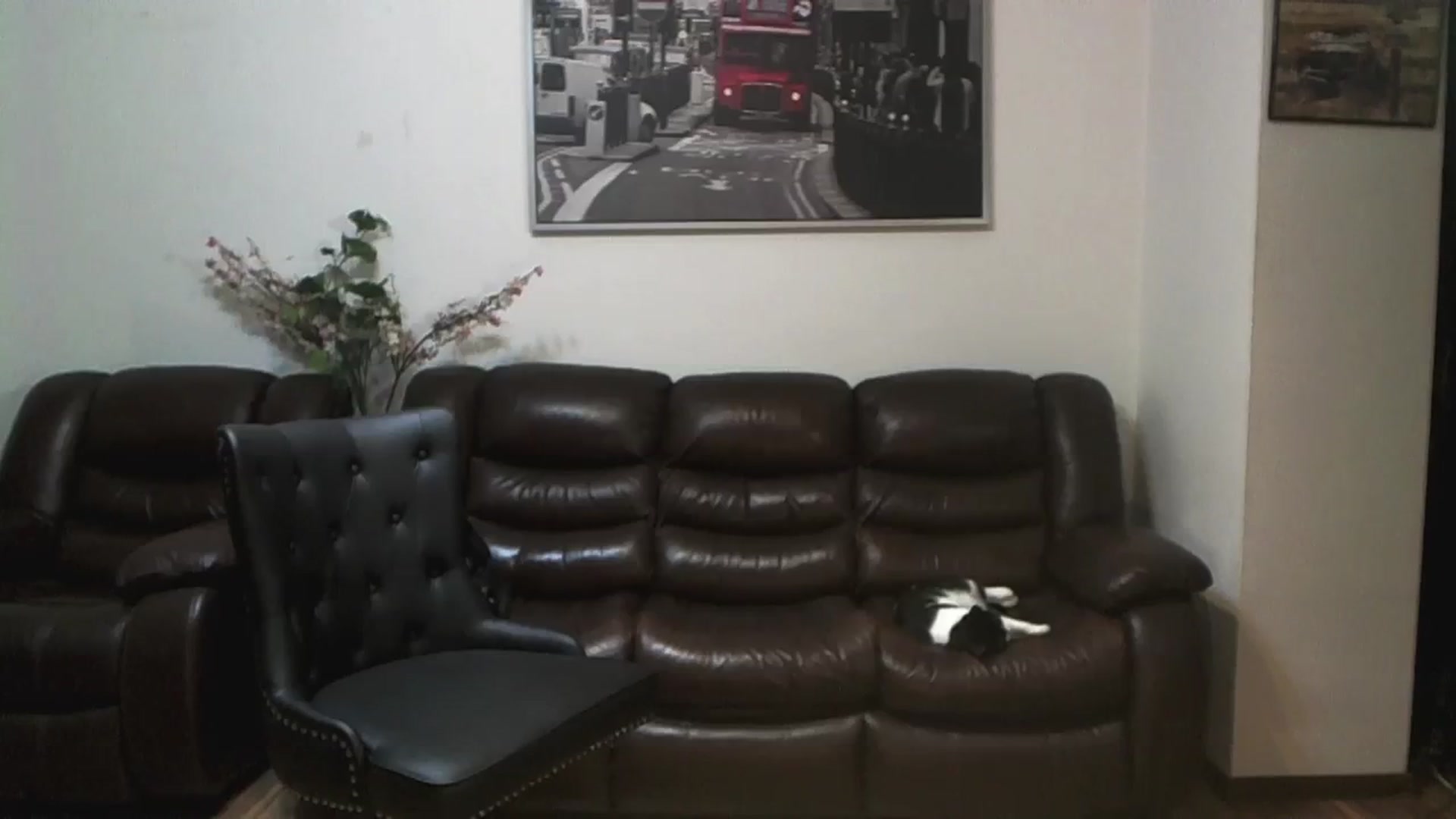 Gallery image thumbnail from AlexisLuvv's myfreecams stream on, 09/29/2023, 20:42 image 9 of 20