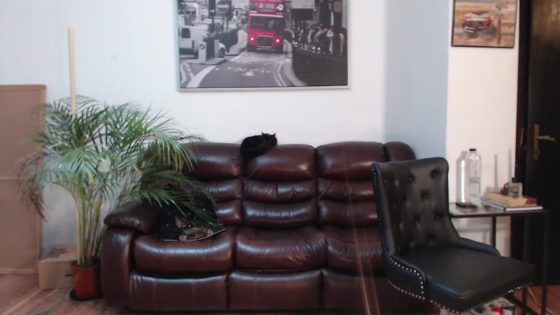 Gallery image thumbnail from AlexisLuvv's myfreecams stream on, 02/16/2024, 22:15 image 4 of 20