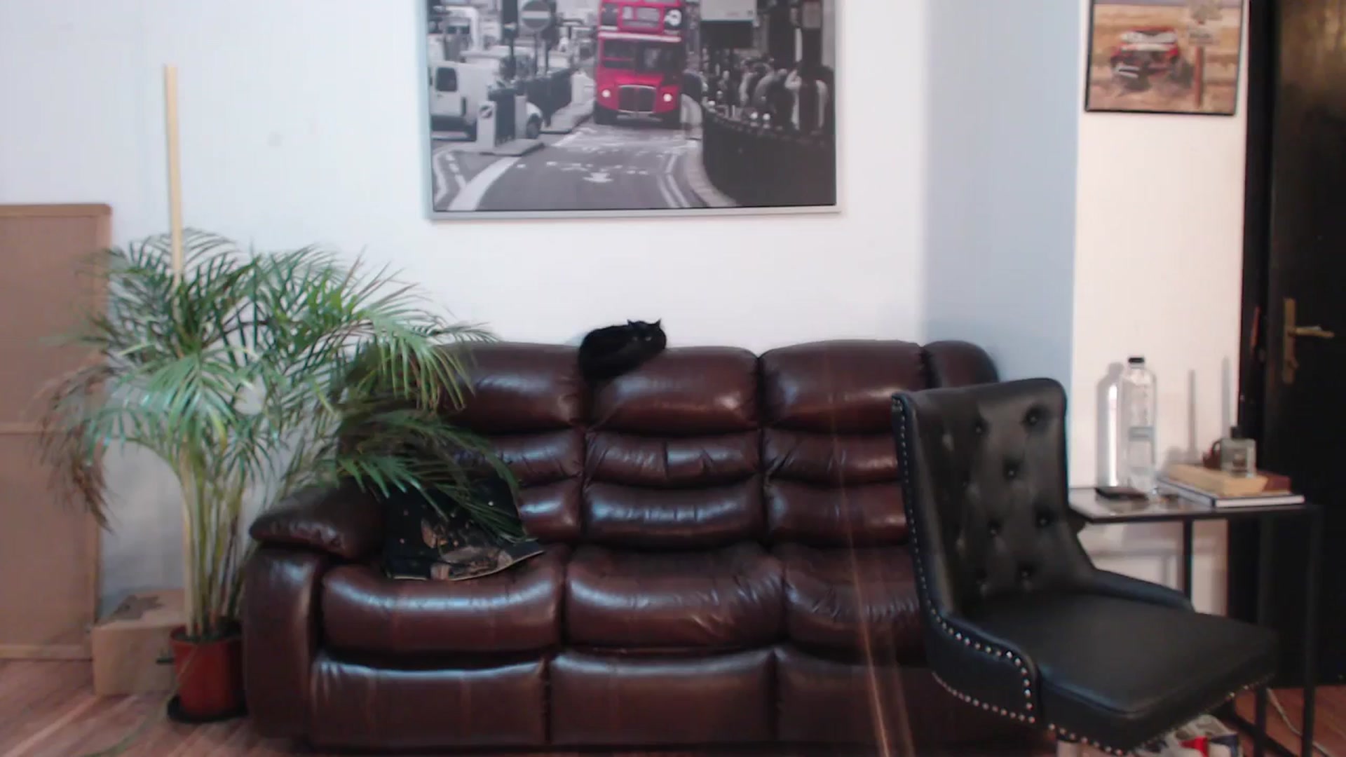 Gallery image thumbnail from AlexisLuvv's myfreecams stream on, 02/16/2024, 22:15 image 5 of 20