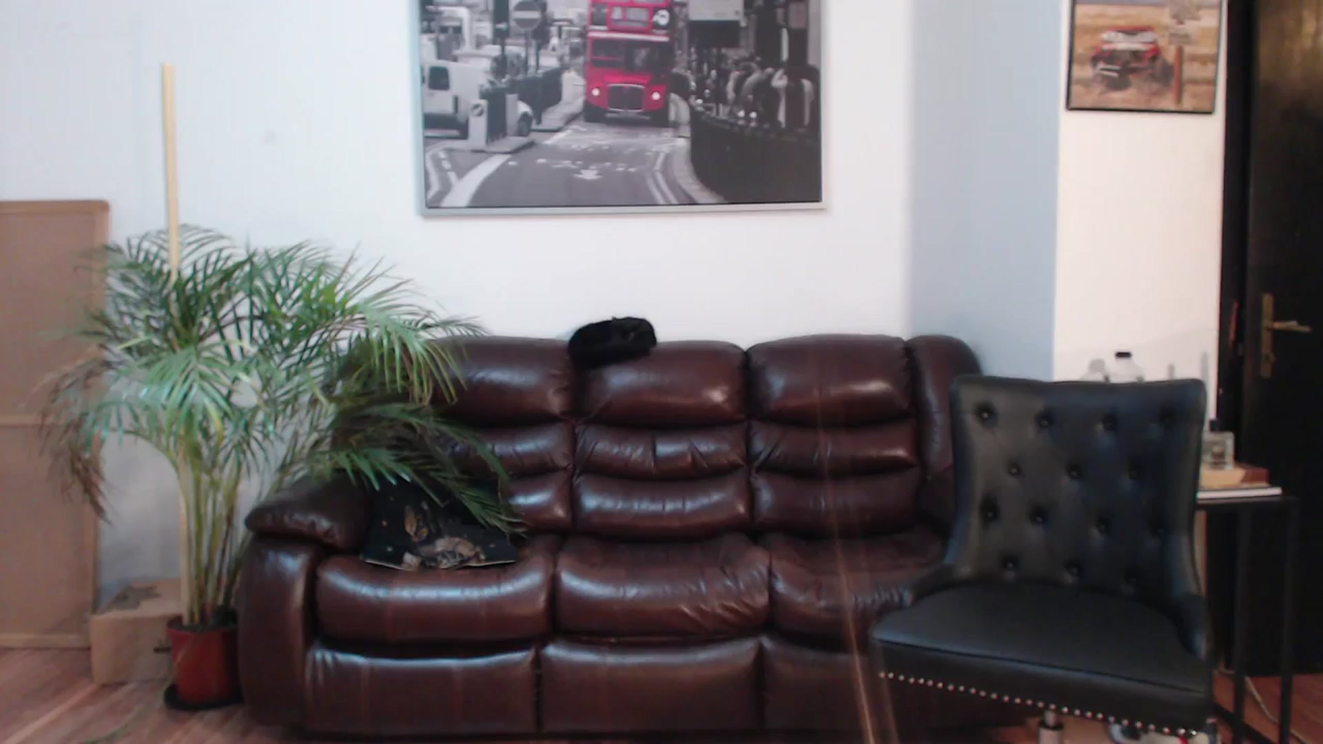 Gallery image thumbnail from AlexisLuvv's myfreecams stream on, 02/16/2024, 22:15 image 9 of 20