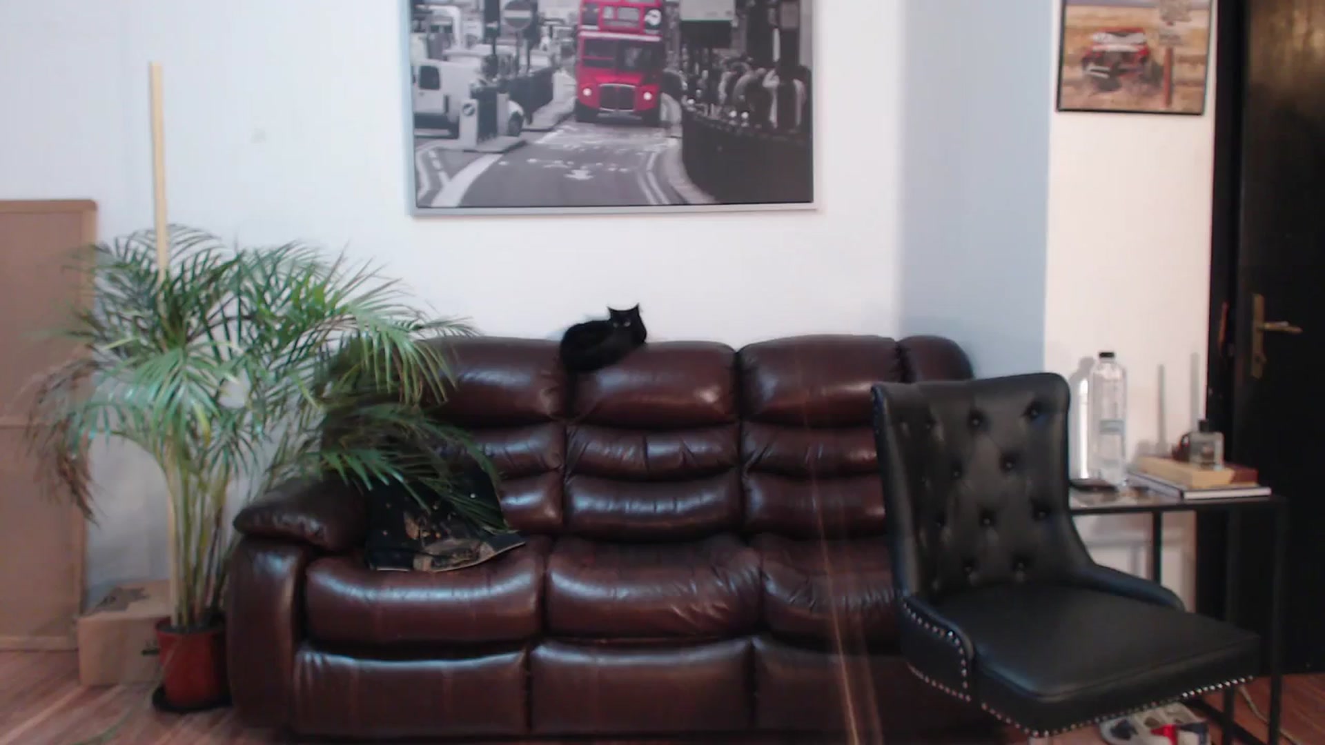 Gallery image thumbnail from AlexisLuvv's myfreecams stream on, 02/16/2024, 22:15 image 2 of 20