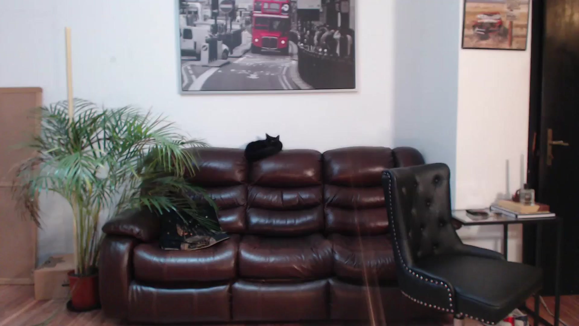 Gallery image thumbnail from AlexisLuvv's myfreecams stream on, 02/16/2024, 22:15 image 1 of 20