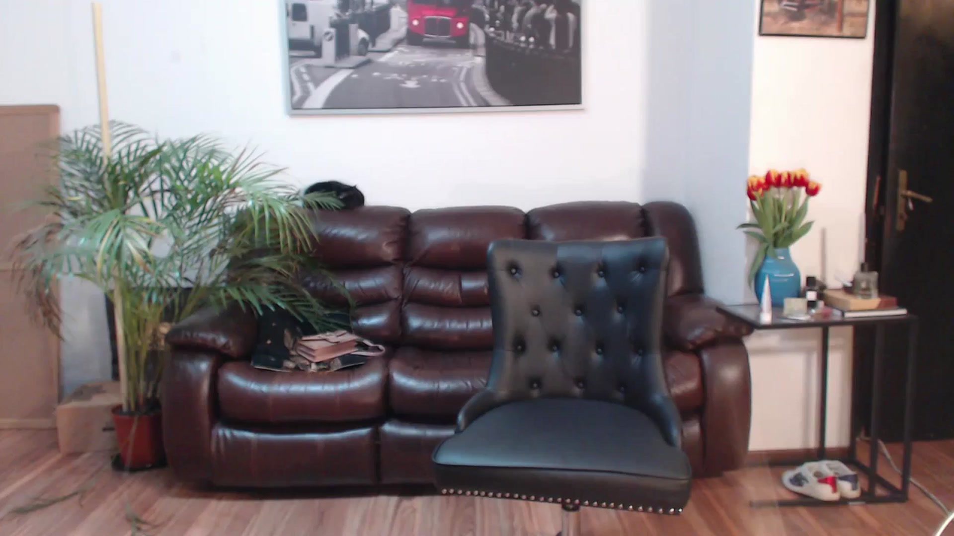 Gallery image thumbnail from AlexisLuvv's myfreecams stream on, 02/20/2024, 21:00 image 1 of 20