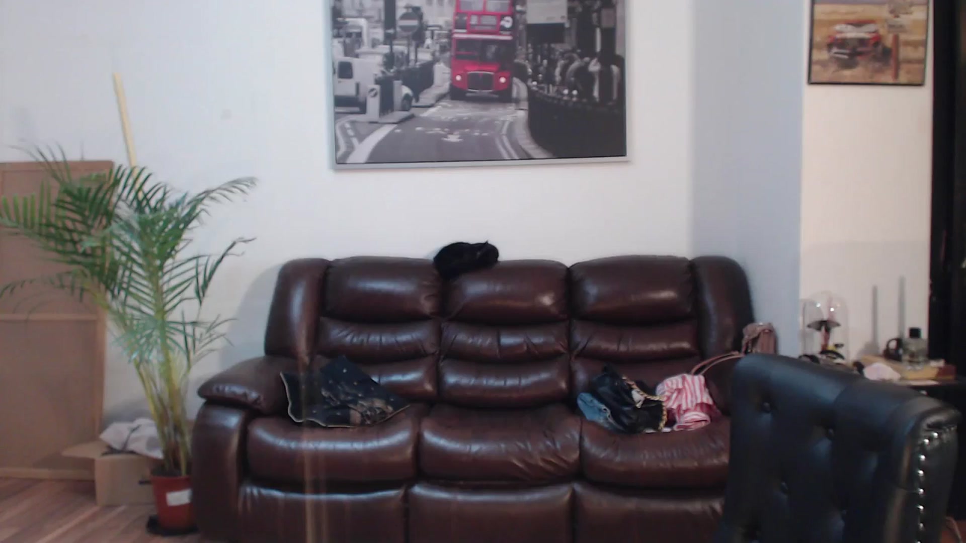 Gallery image thumbnail from AlexisLuvv's myfreecams stream on, 03/30/2024, 19:39 image 16 of 20