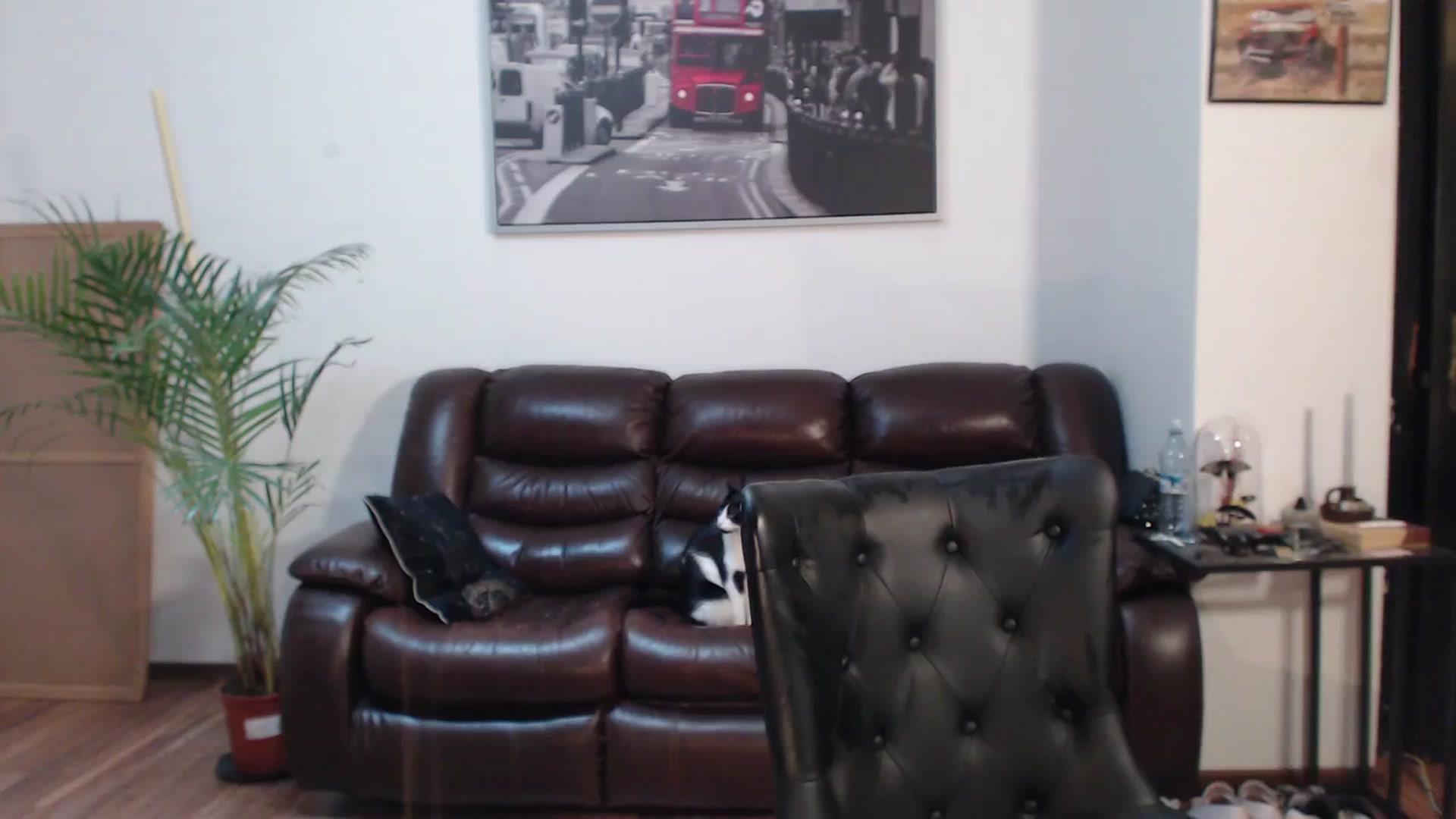 Gallery image thumbnail from AlexisLuvv's myfreecams stream on, 04/07/2024, 20:16 image 15 of 20