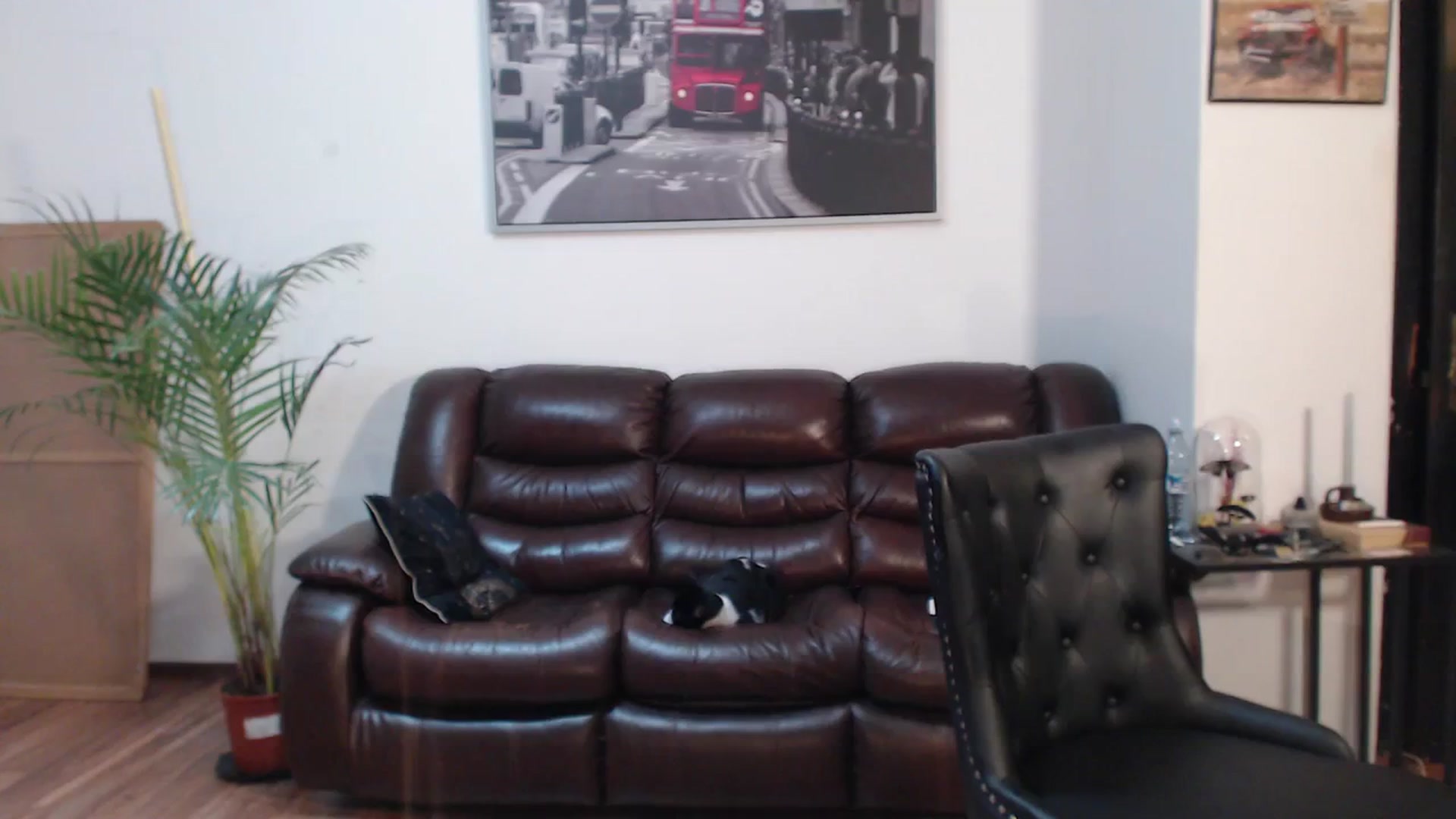 Gallery image thumbnail from AlexisLuvv's myfreecams stream on, 04/07/2024, 20:16 image 4 of 20