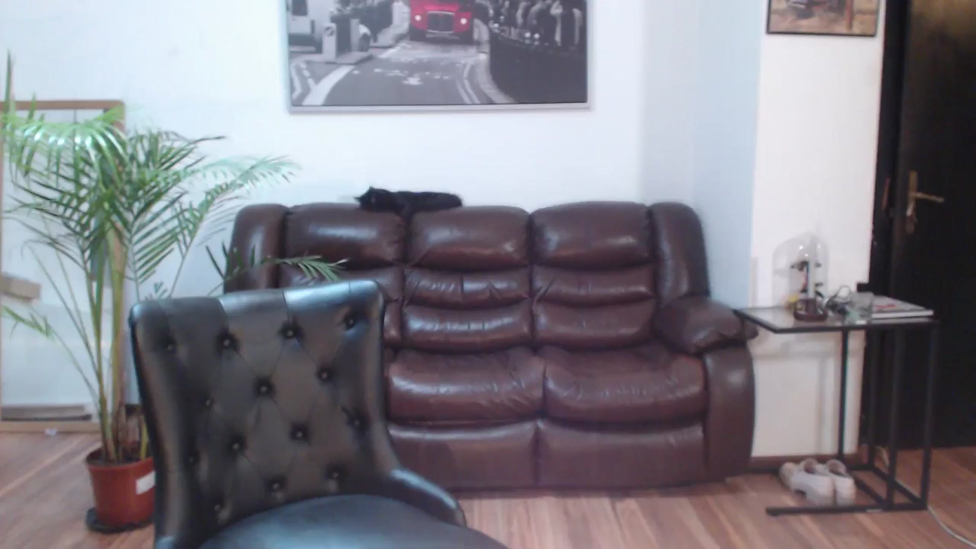Gallery image thumbnail from AlexisLuvv's myfreecams stream on, 05/03/2024, 18:17 image 11 of 20