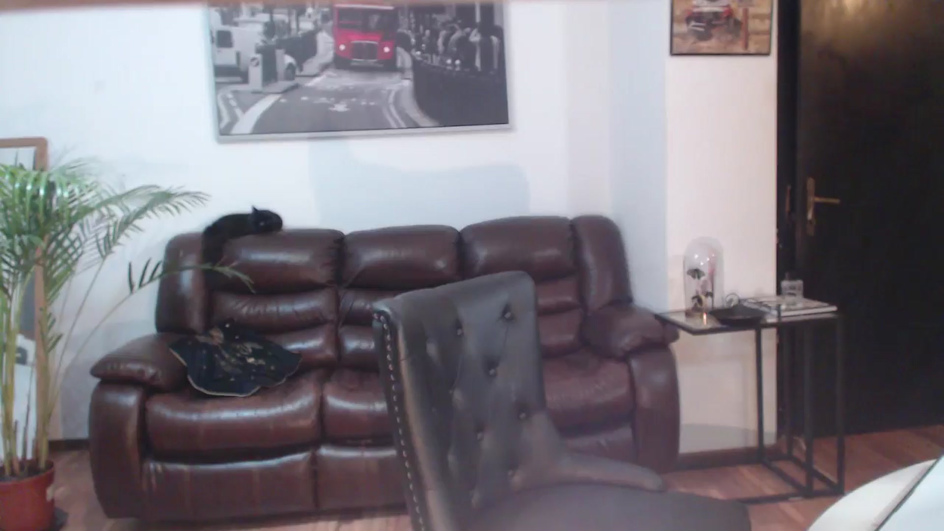 Gallery image thumbnail from AlexisLuvv's myfreecams stream on, 05/05/2024, 18:44 image 19 of 20