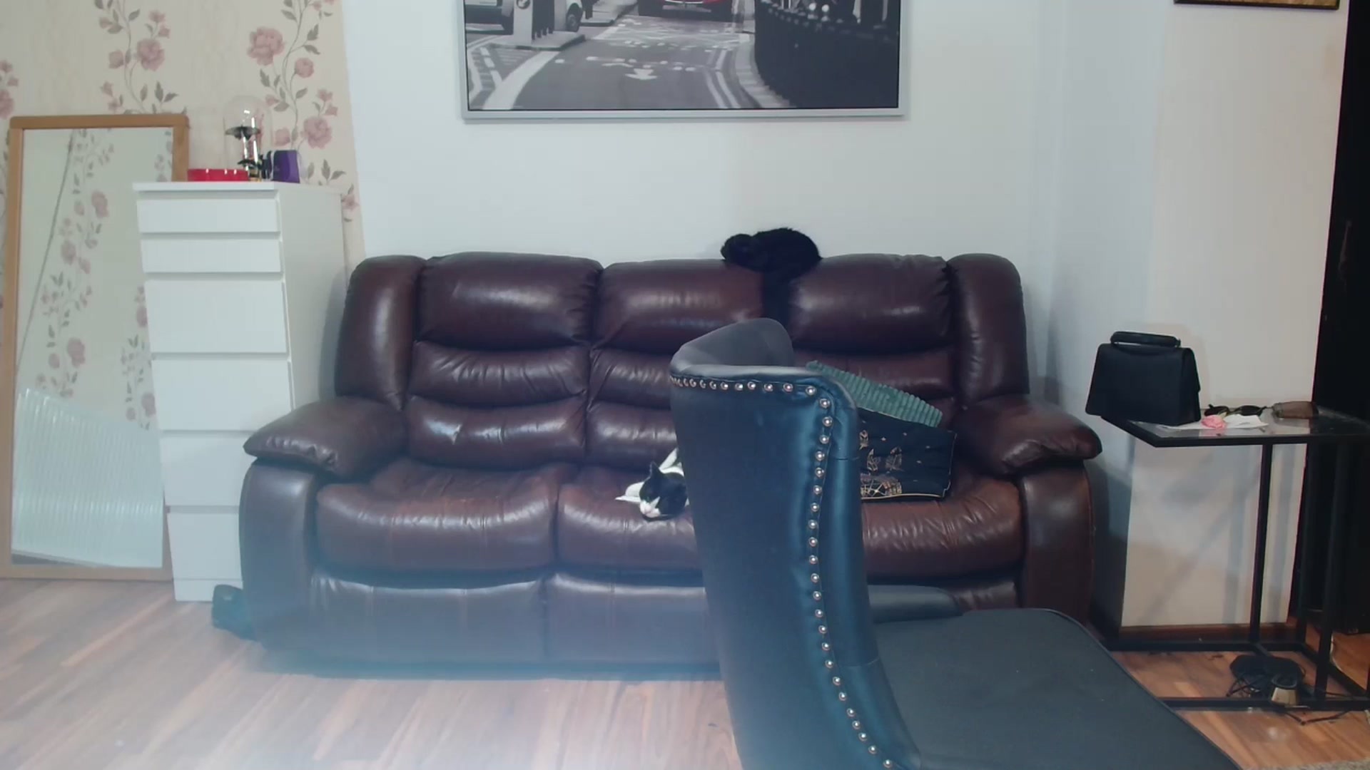 Gallery image thumbnail from AlexisLuvv's myfreecams stream on, 05/21/2025, 19:35 image 18 of 20