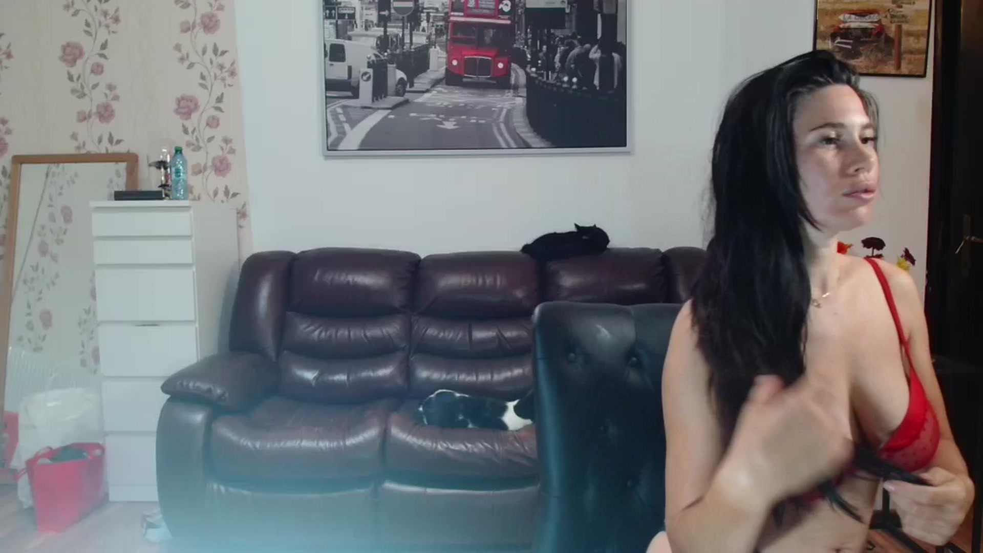 Gallery image thumbnail from AlexisLuvv's myfreecams stream on, 06/15/2025, 19:21 image 1 of 20