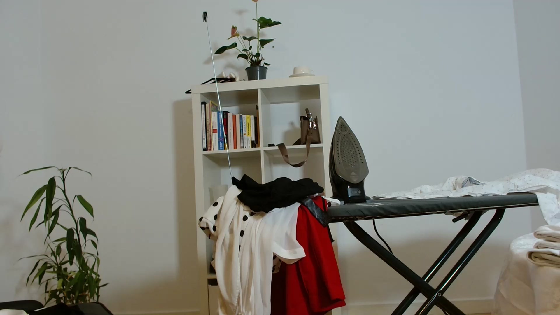 Gallery image thumbnail from AlexisLuvv's myfreecams stream on, 12/30/2025, 20:18 image 3 of 20