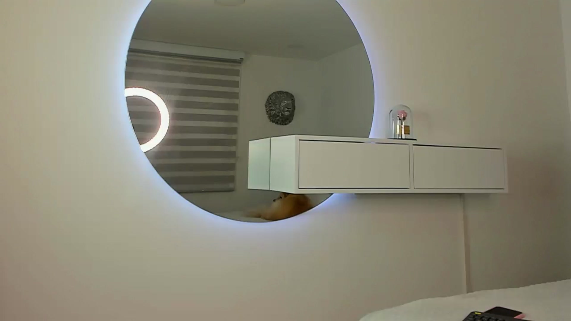 Gallery image thumbnail from AlexisMFC's myfreecams stream on, 12/21/2023, 20:53 image 20 of 20