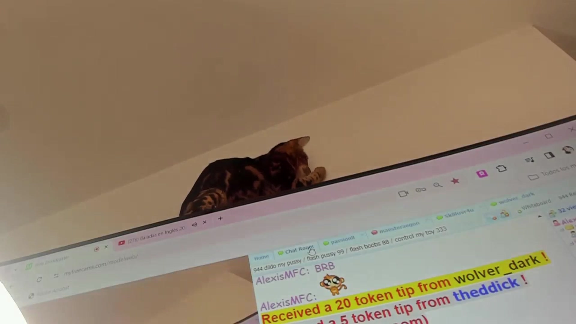 Gallery image thumbnail from AlexisMFC's myfreecams stream on, 03/12/2024, 03:57 image 16 of 20