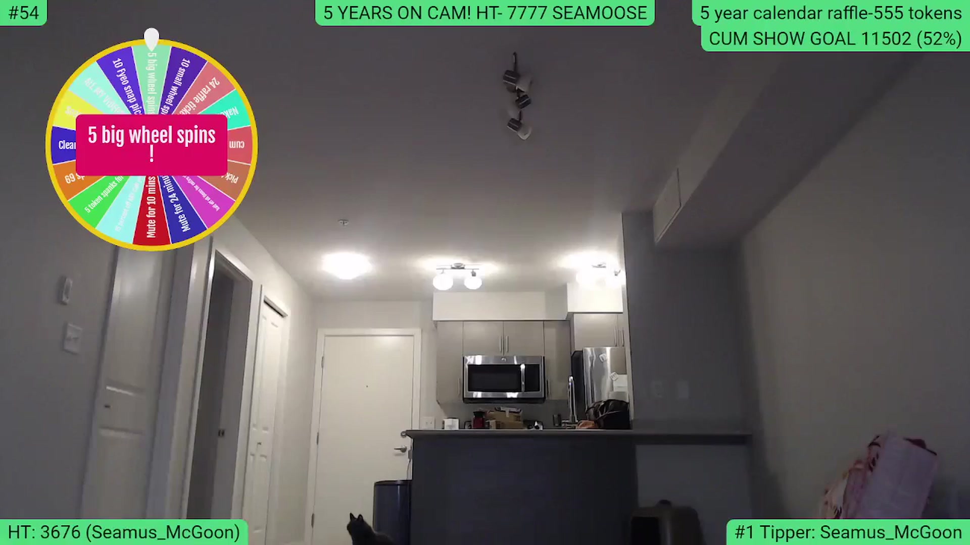 Gallery image thumbnail from AlexisW5years's myfreecams stream on, 11/04/2023, 01:41 image 17 of 20